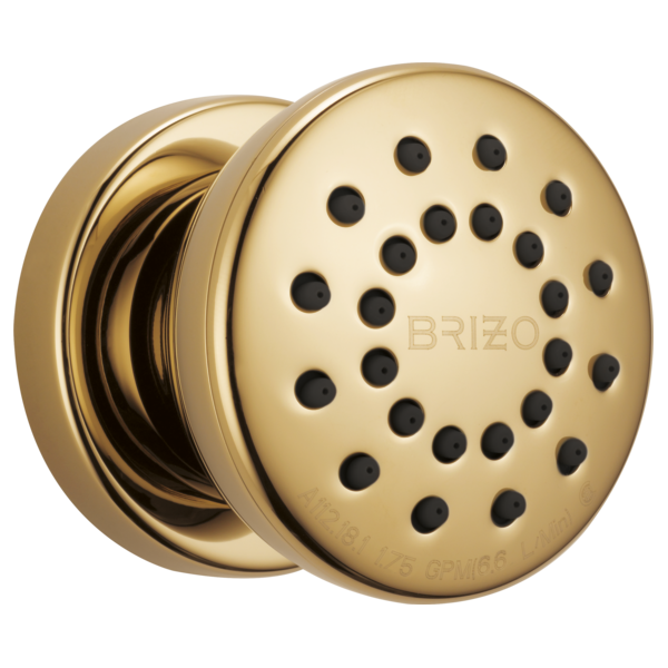 Round brass body spray with multiple black spray nozzles and mounting bracket visible.
