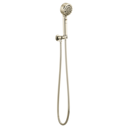 Polished nickel wall-mount handshower with perforated showerhead, flexible hose, and control valve.