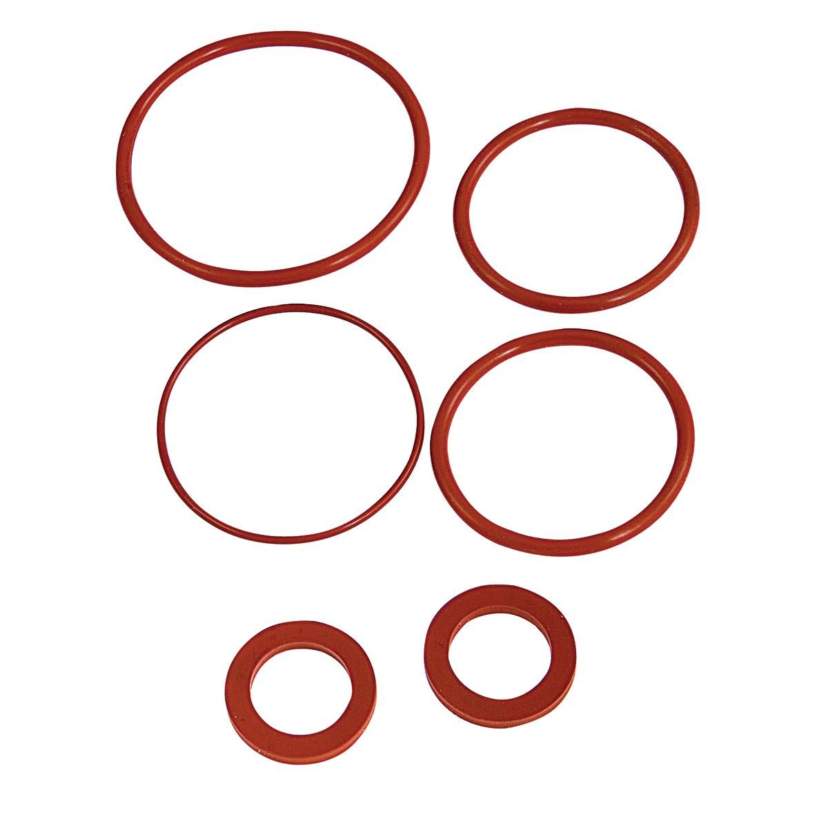 Six red rubber O-rings in varying sizes arranged on white background.