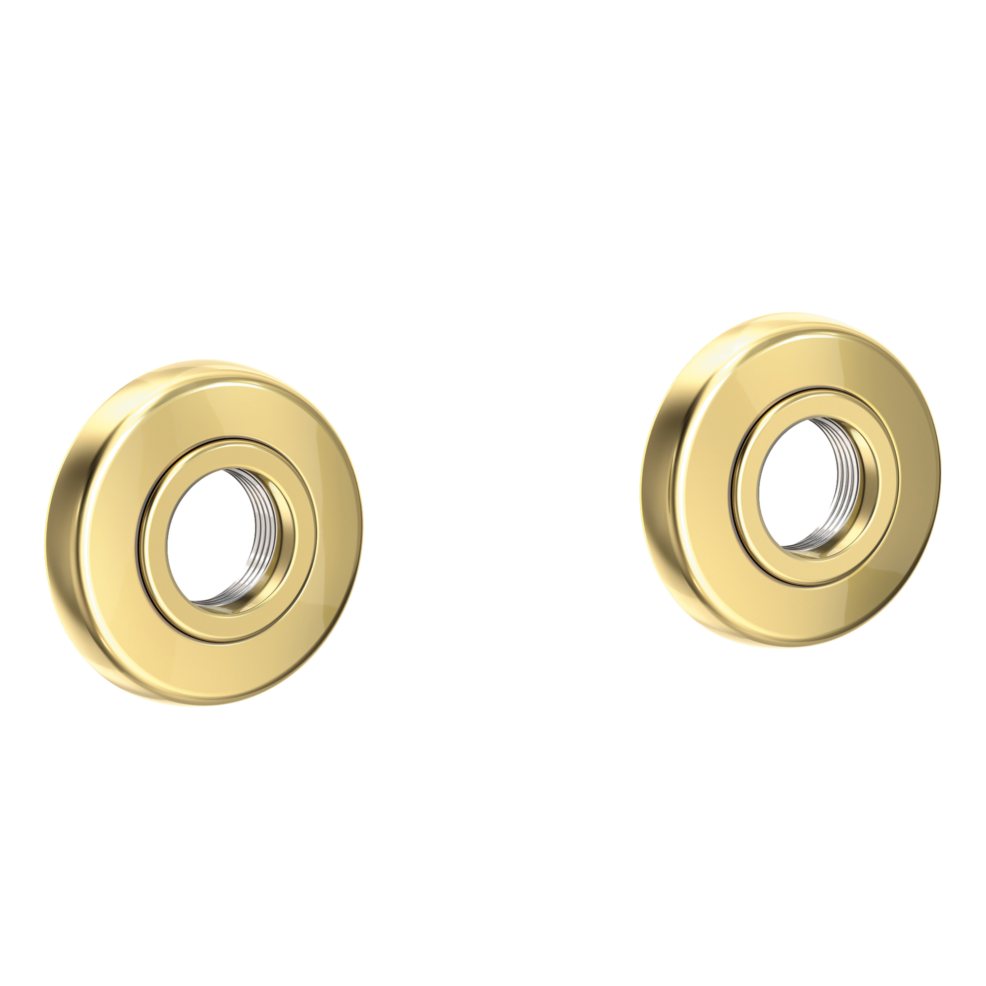 Newport Brass East Linear Round Decorative Rings & Mounting Kit for Grab Bars