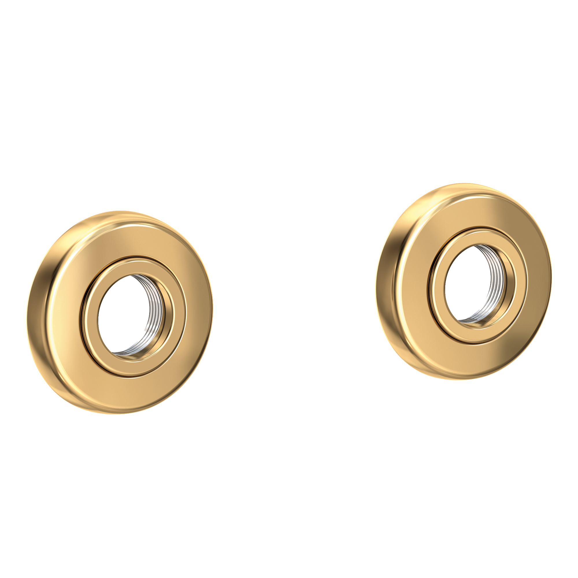 Newport Brass East Linear Round Decorative Rings & Mounting Kit for Grab Bars