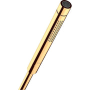 Polished gold handheld showerhead with cylindrical body, perforated spray section, and round nozzle head with black rim.