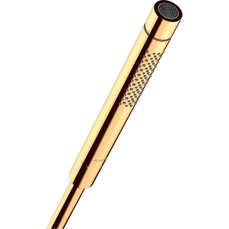 Polished gold handheld showerhead with cylindrical body, perforated spray section, and circular spray face at top.