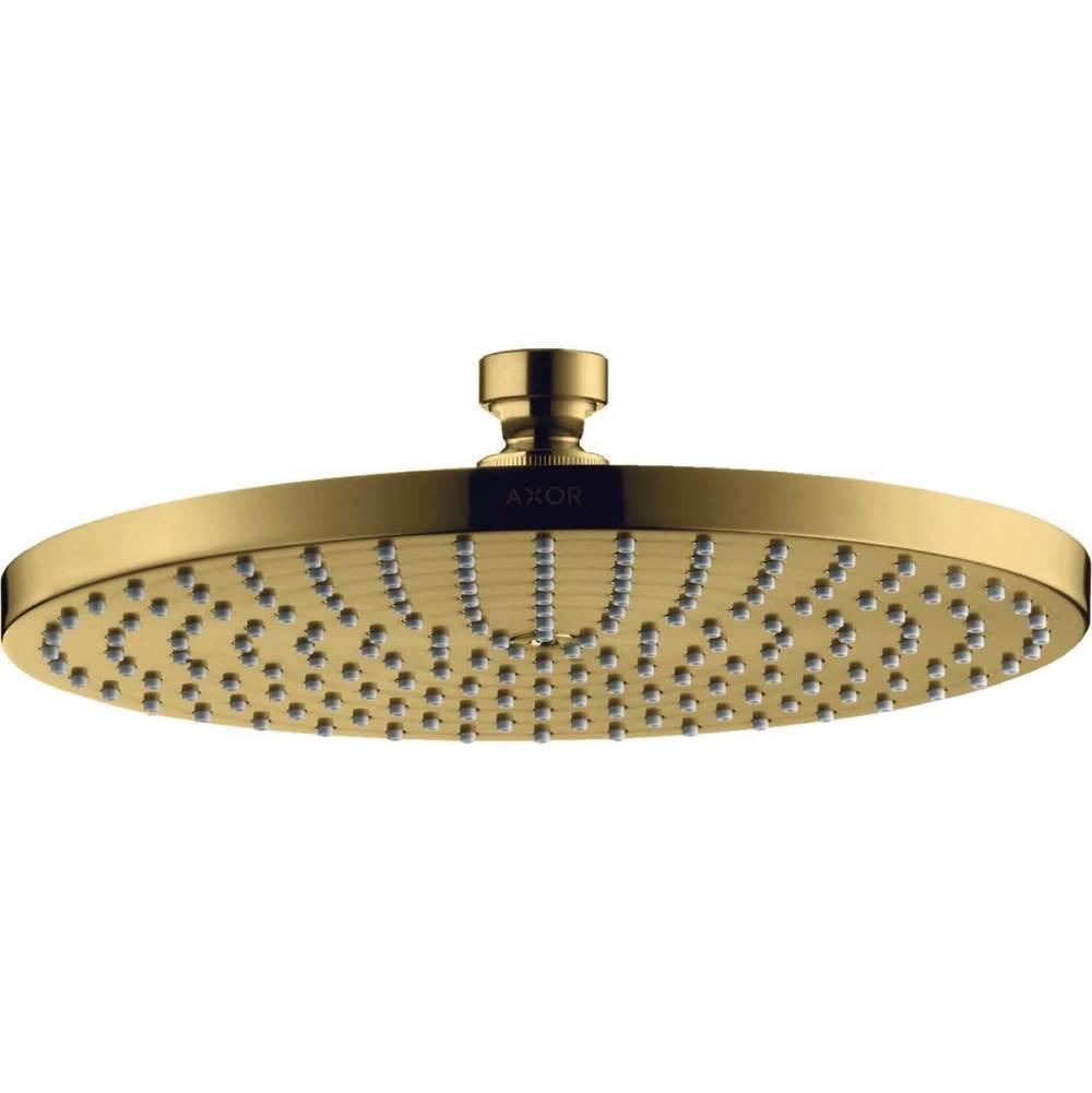 Polished gold overhead shower head with circular face and multiple small spray jets, mounted on short cylindrical arm.