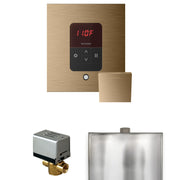 Mr. Steam Basic Butler Steam Shower Control Package w/ Square iTempo Control and Steamhead