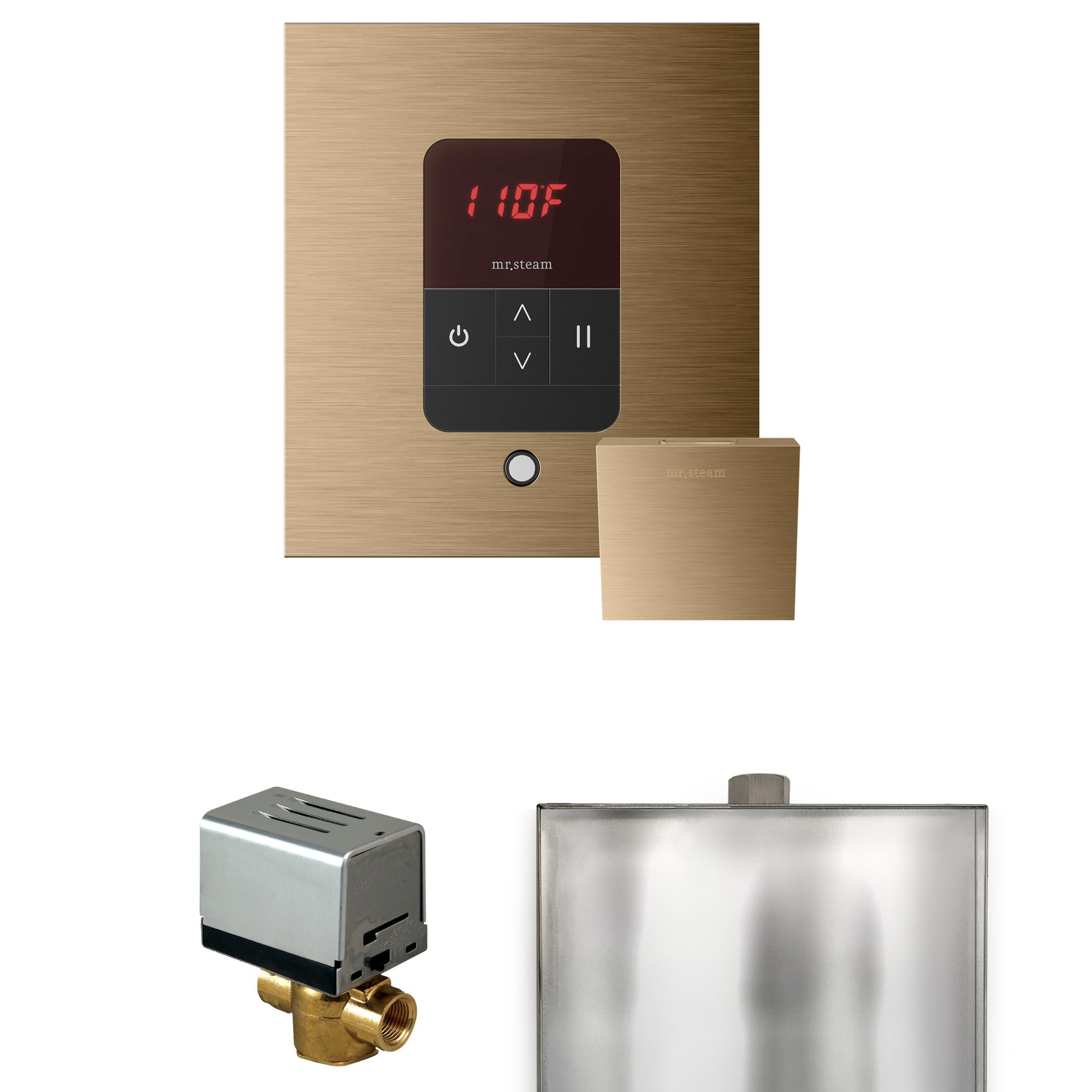 Mr. Steam Basic Butler Steam Shower Control Package w/ Square iTempo Control and Steamhead