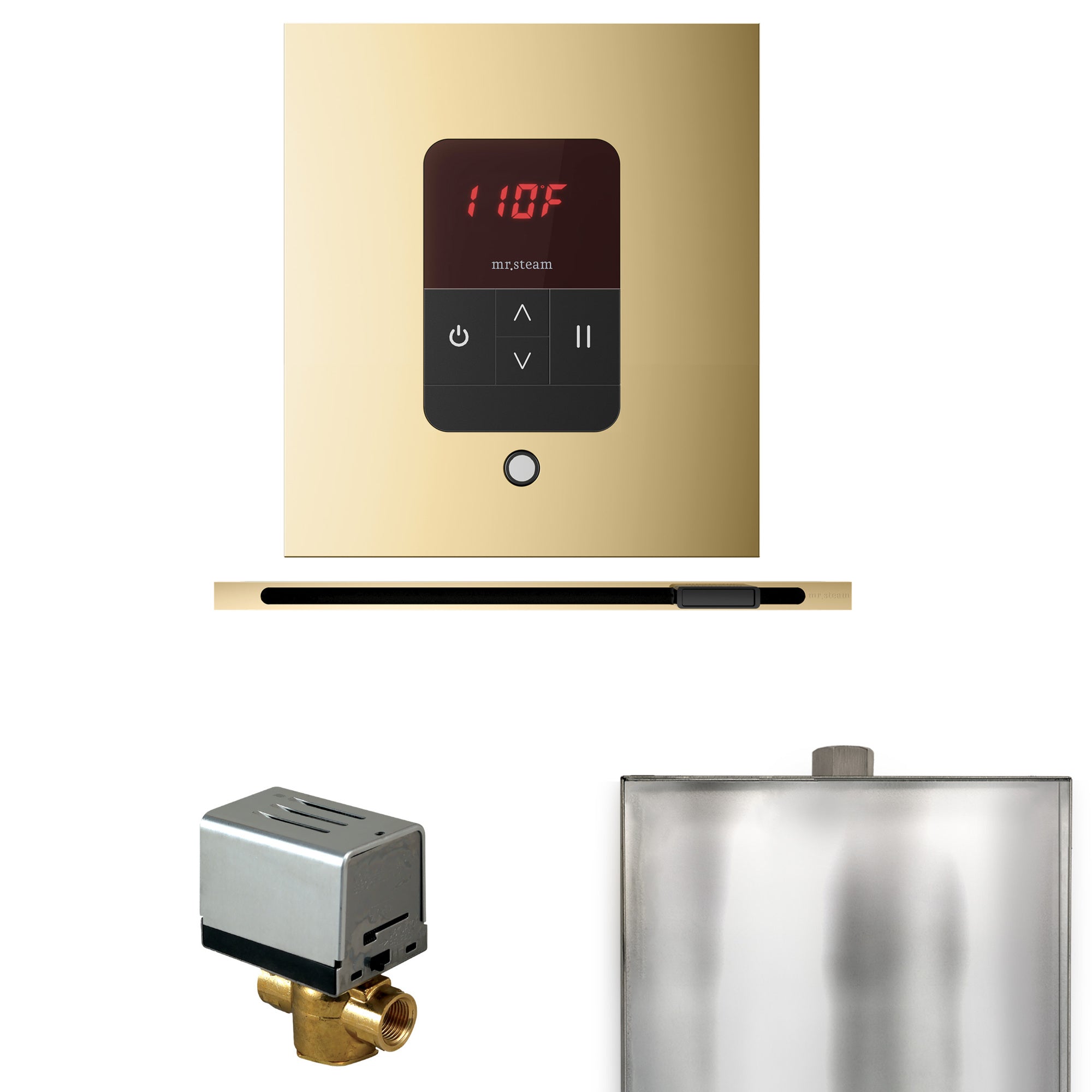 Mr. Steam Basic Butler Steam Shower Control Package w/ Square iTempo Control and Linear Steamhead