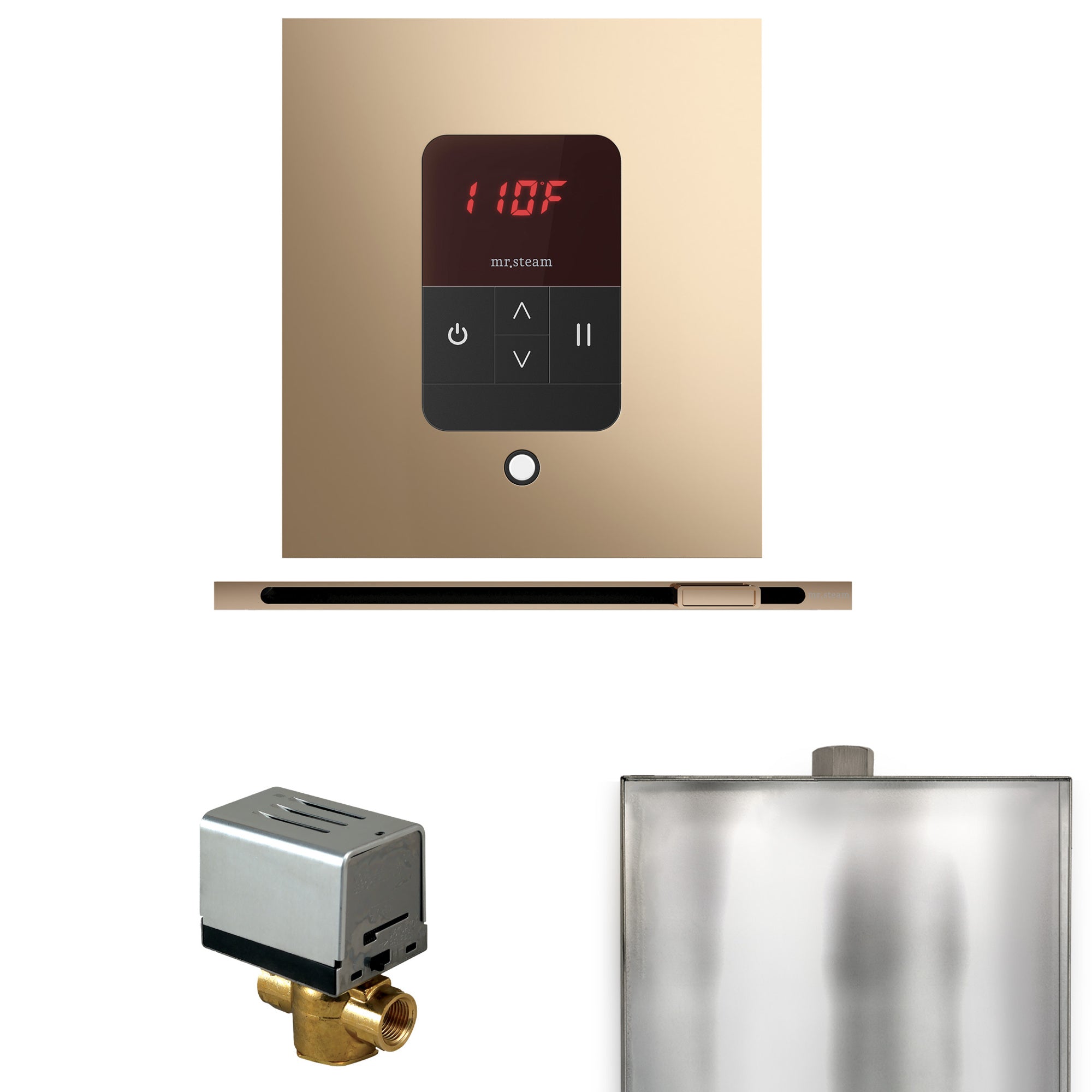 Mr. Steam Basic Butler Steam Shower Control Package w/ Square iTempo Control and Linear Steamhead