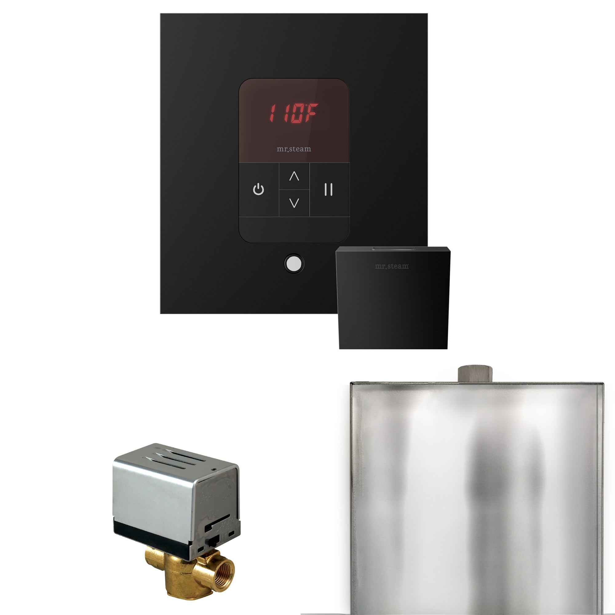 Mr. Steam Basic Butler Steam Shower Control Package w/ Square iTempo Control and Steamhead