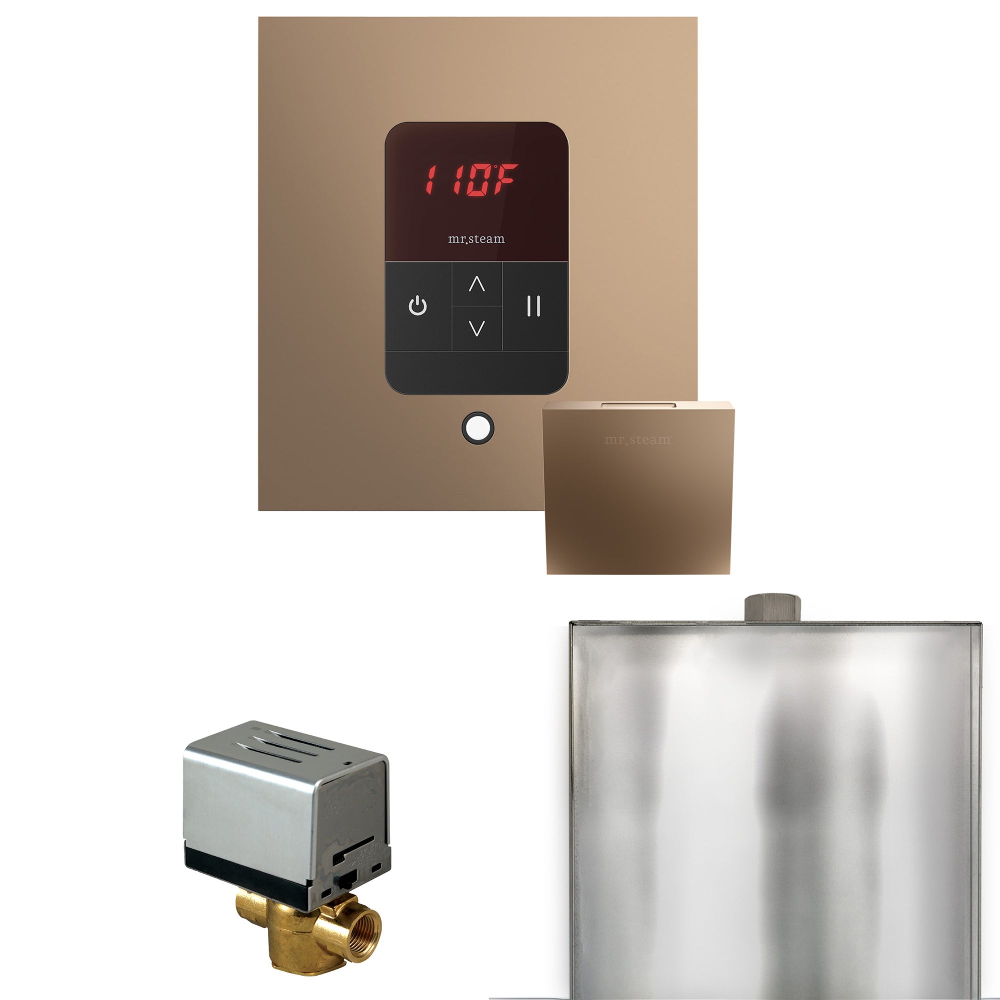 Mr. Steam Basic Butler Steam Shower Control Package w/ Square iTempo Control and Steamhead