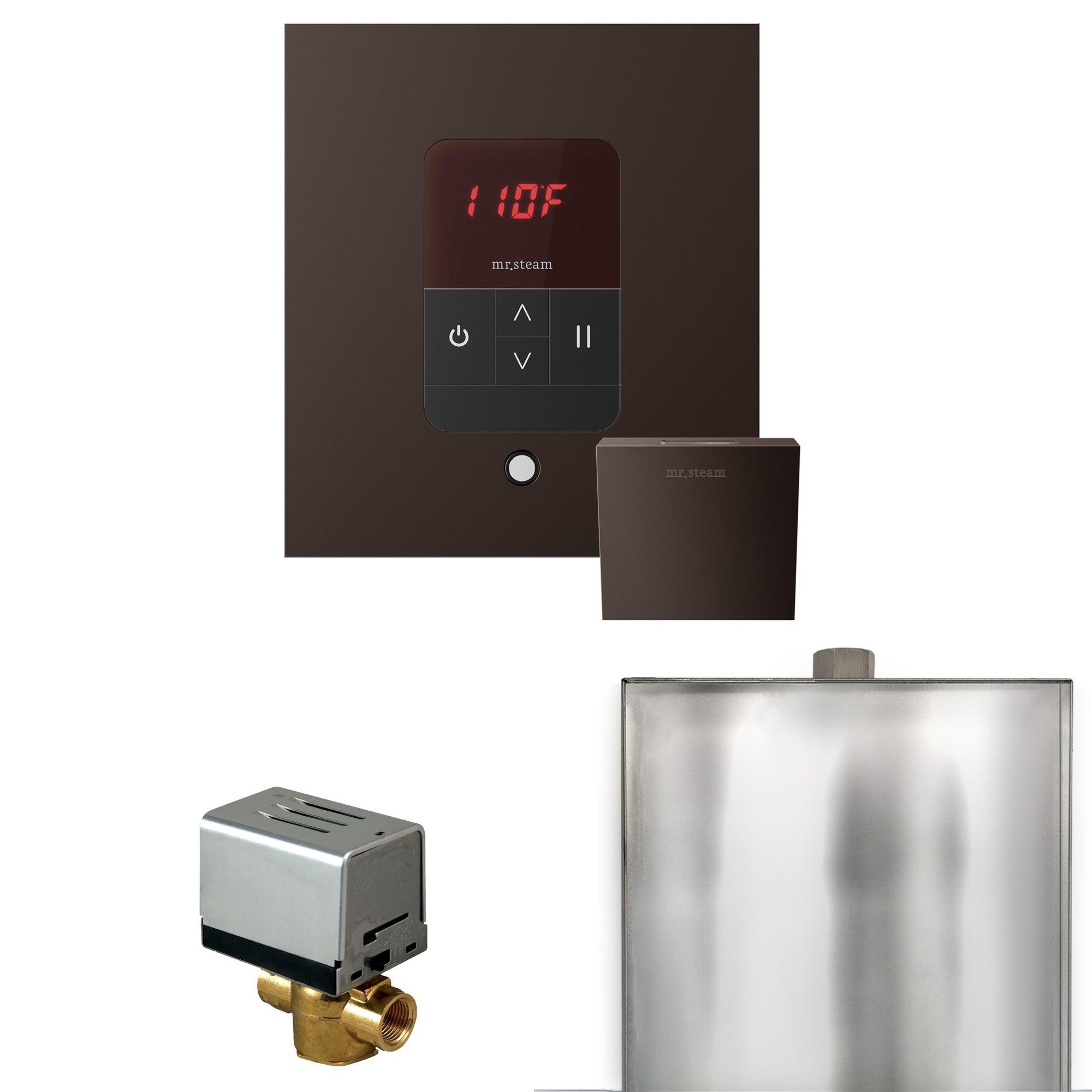 Mr. Steam Basic Butler Steam Shower Control Package w/ Square iTempo Control and Steamhead