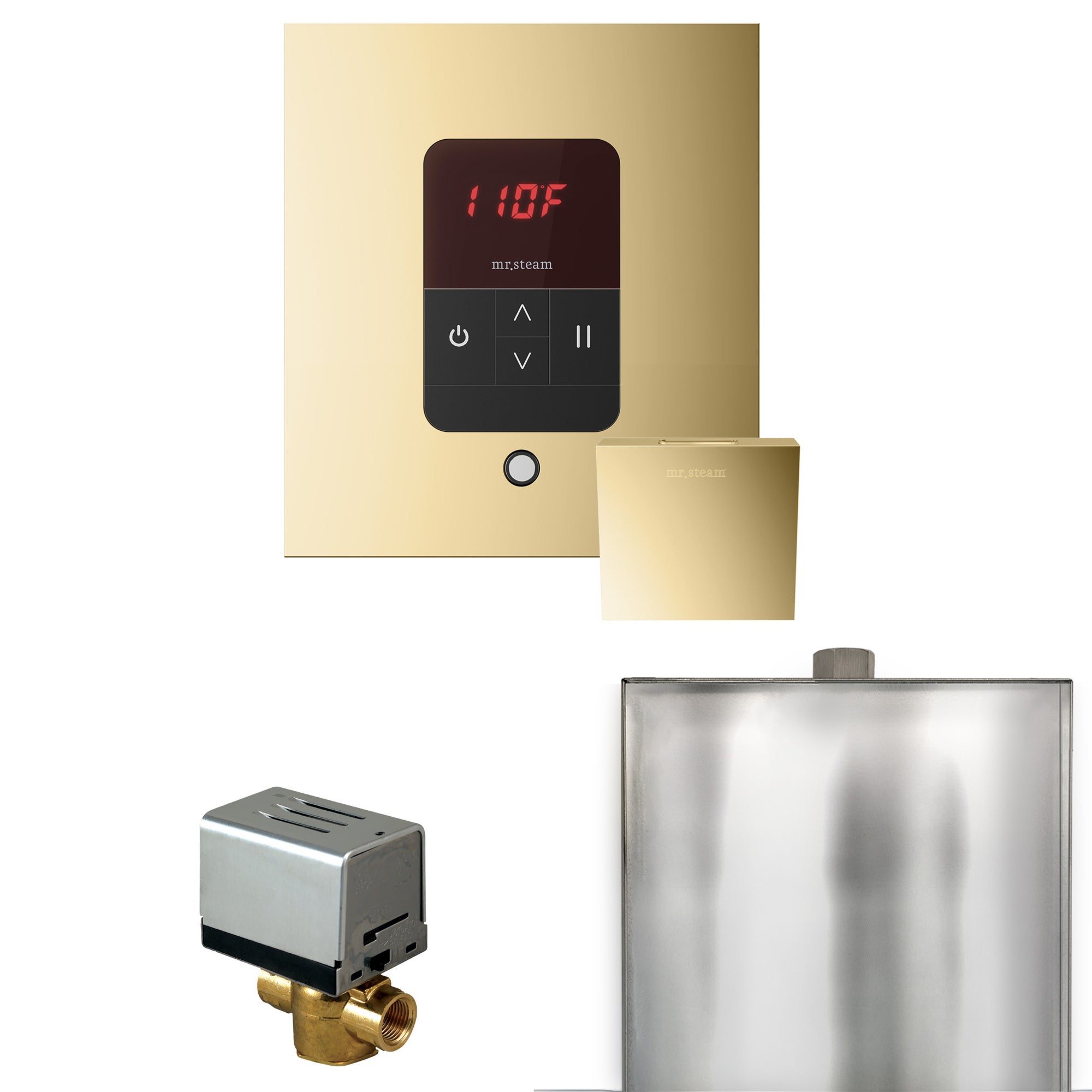 Mr. Steam Basic Butler Steam Shower Control Package w/ Square iTempo Control and Steamhead
