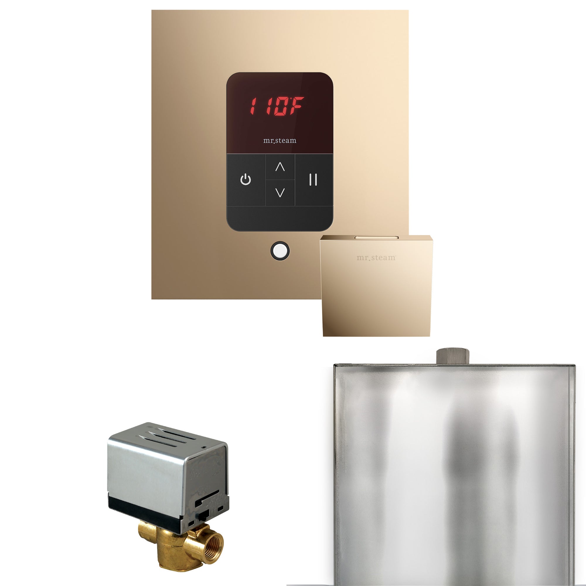 Mr. Steam Basic Butler Steam Shower Control Package w/ Square iTempo Control and Steamhead