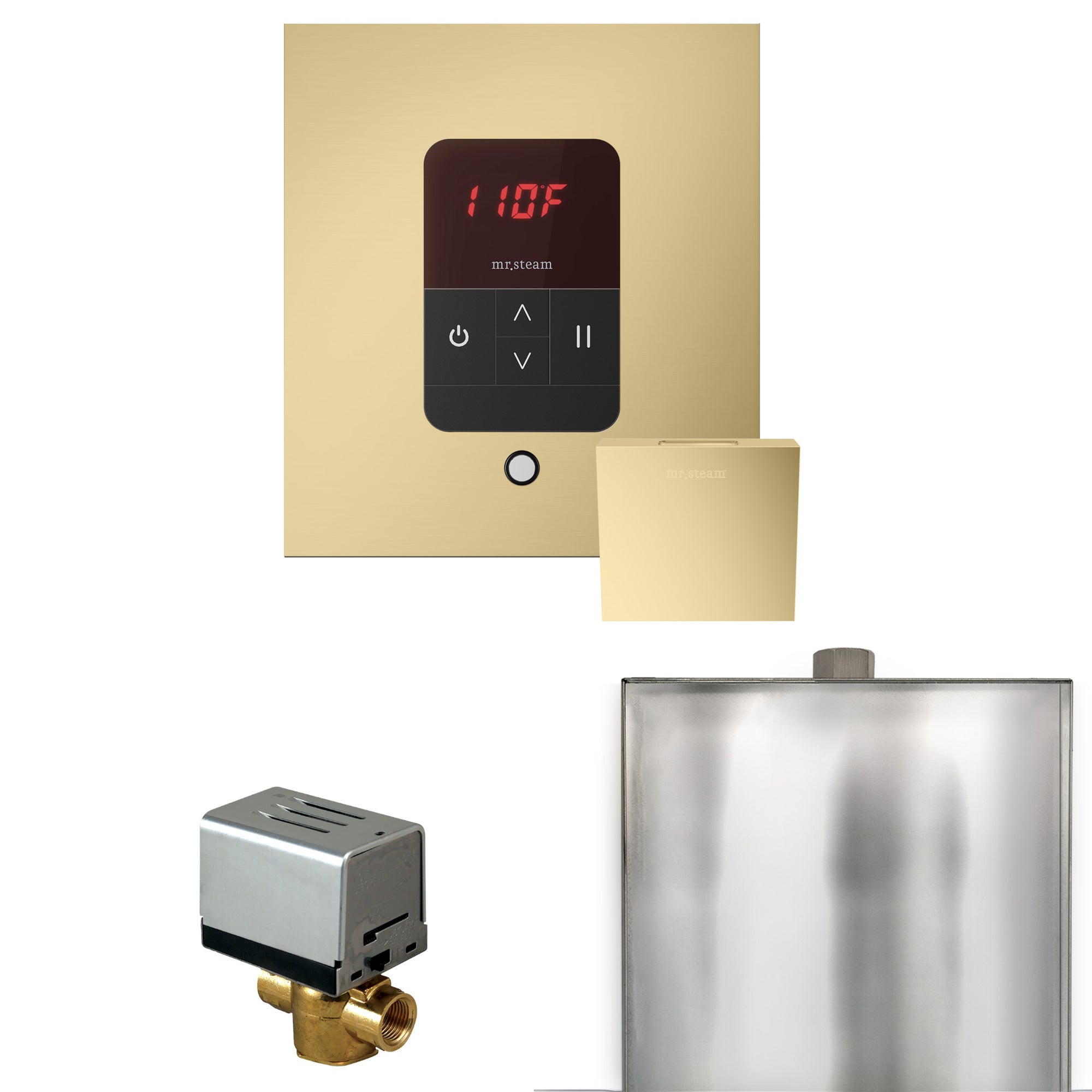 Mr. Steam Basic Butler Steam Shower Control Package w/ Square iTempo Control and Steamhead