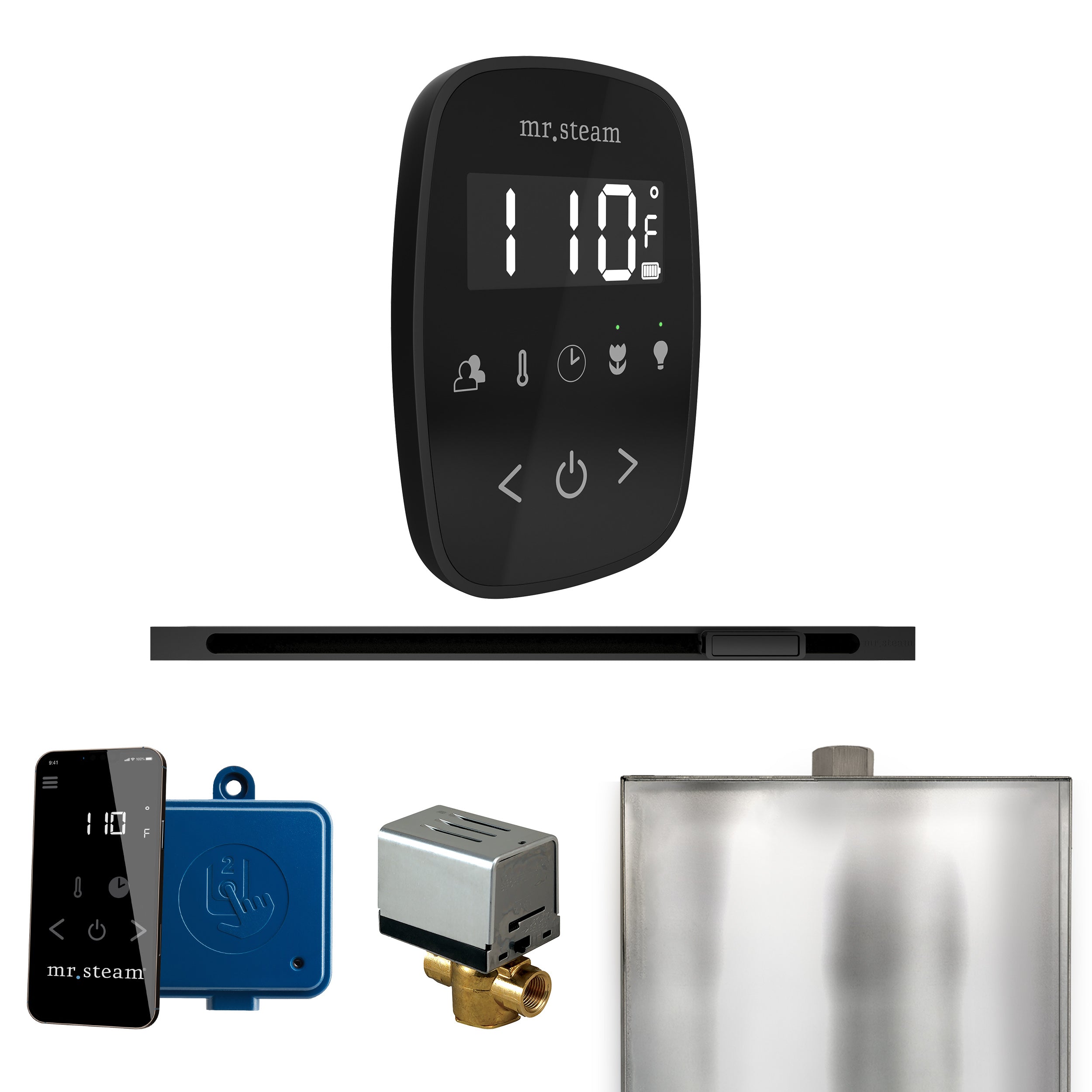 Mr. Steam Butler Flex Steam Shower Control Package with TempoFlex Control and Steamhead