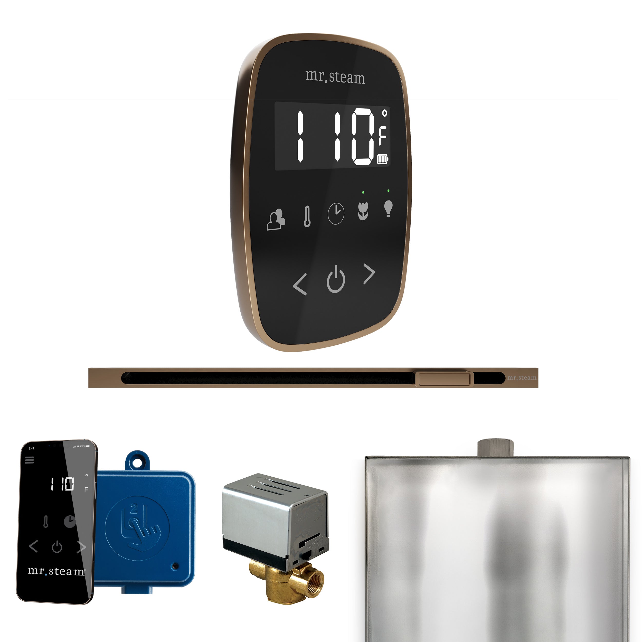 Mr. Steam Butler Flex Steam Shower Control Package with TempoFlex Control and Steamhead