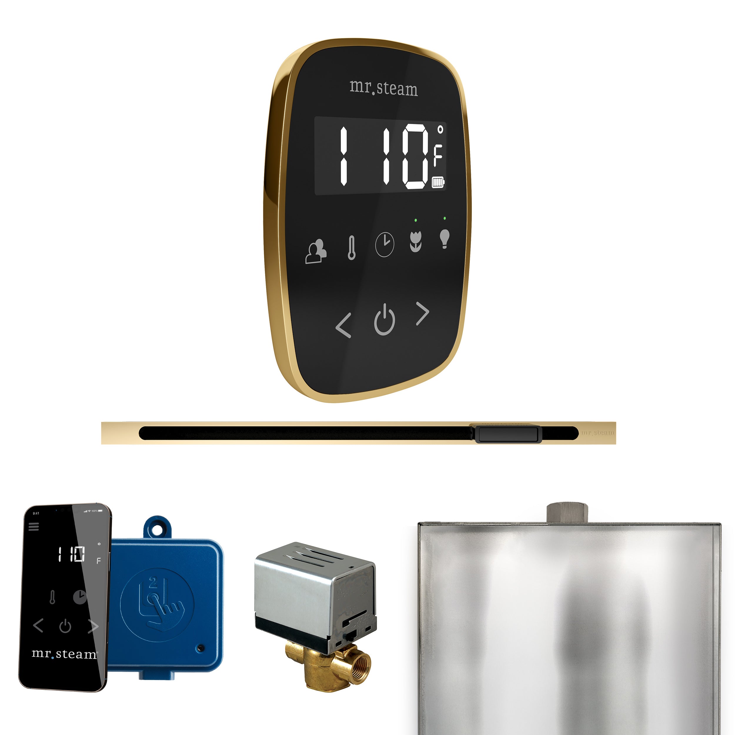 Mr. Steam Butler Flex Steam Shower Control Package with TempoFlex Control and Steamhead