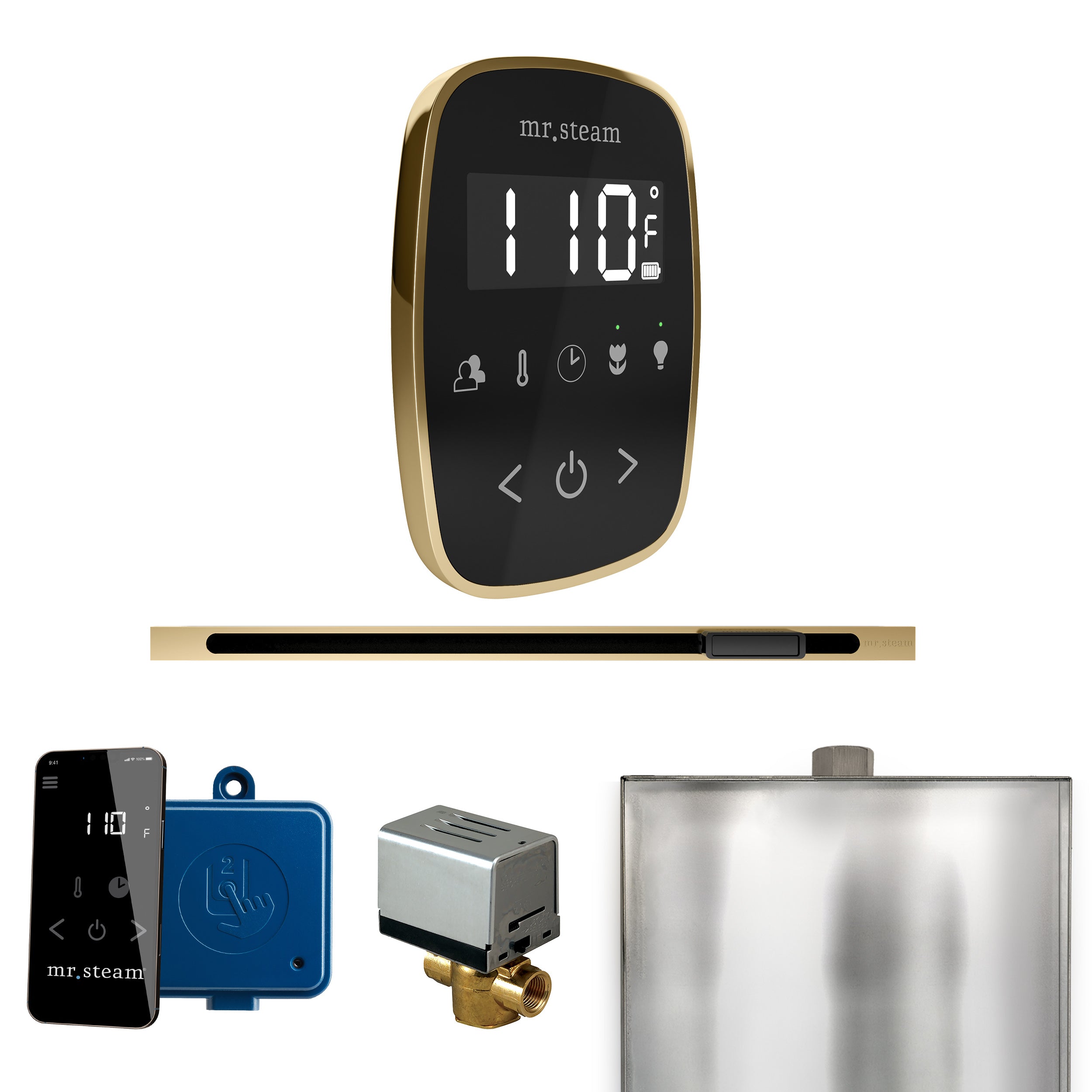 Mr. Steam Butler Flex Steam Shower Control Package with TempoFlex Control and Steamhead