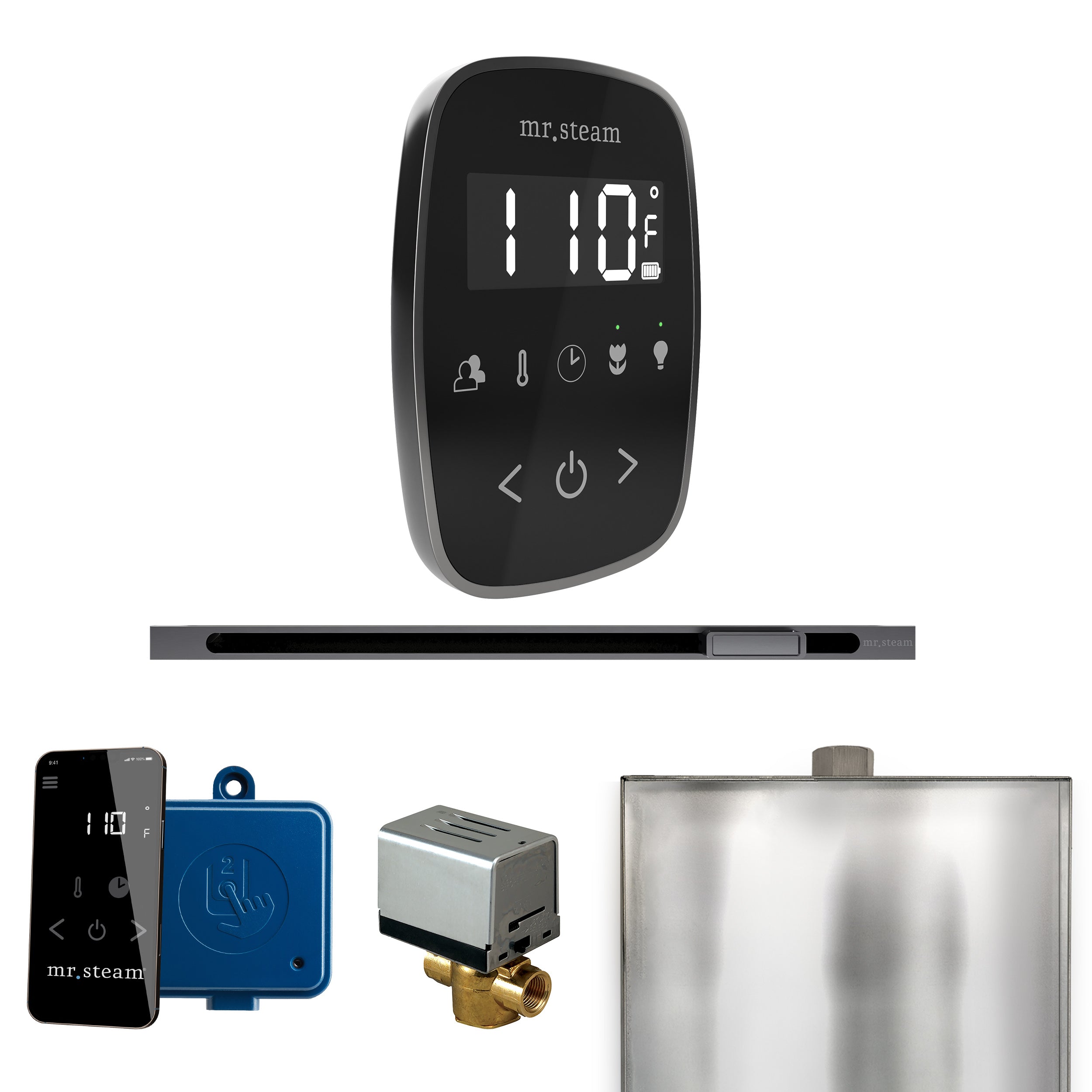 Mr. Steam Butler Flex Steam Shower Control Package with TempoFlex Control and Steamhead