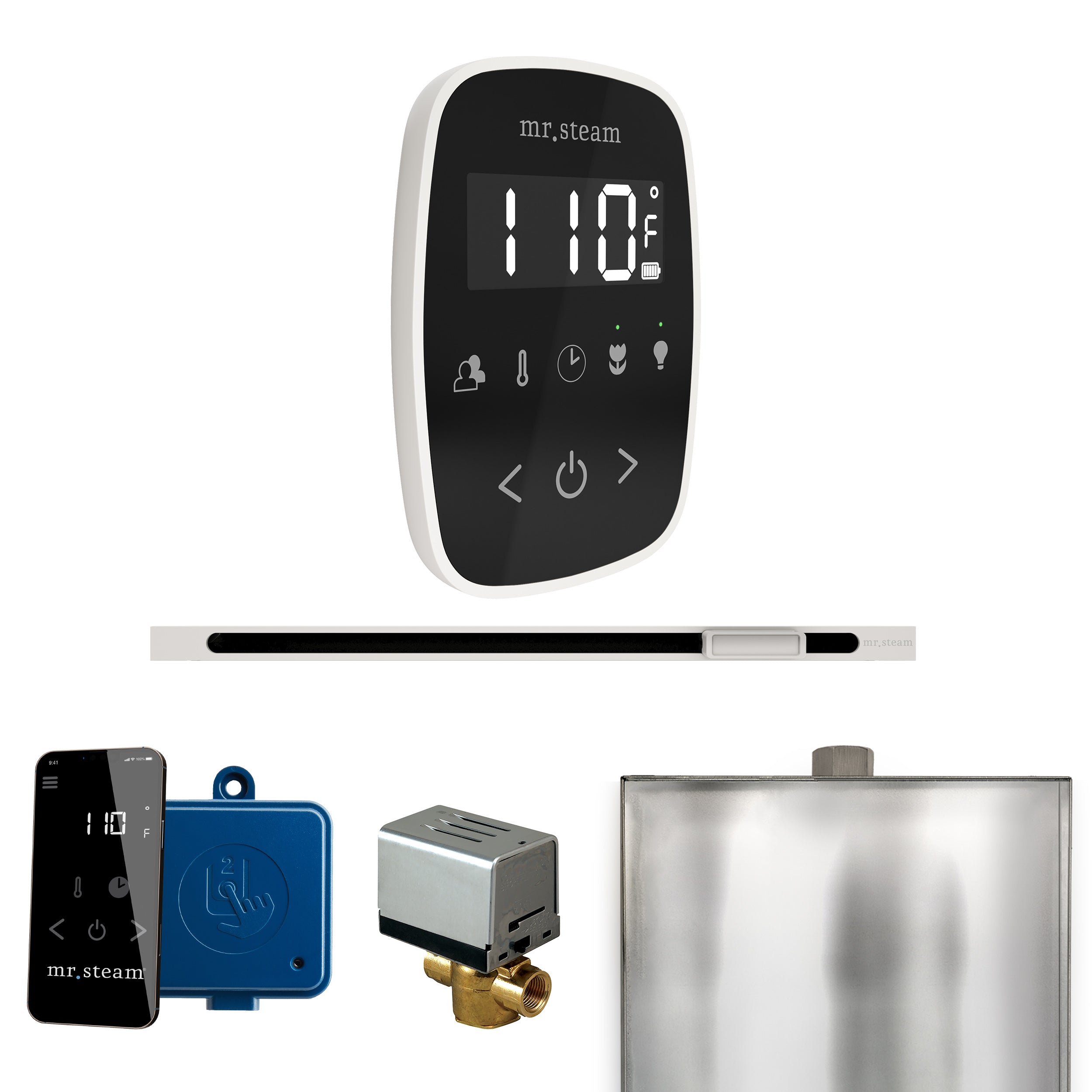 Mr. Steam Butler Flex Steam Shower Control Package with TempoFlex Control and Steamhead
