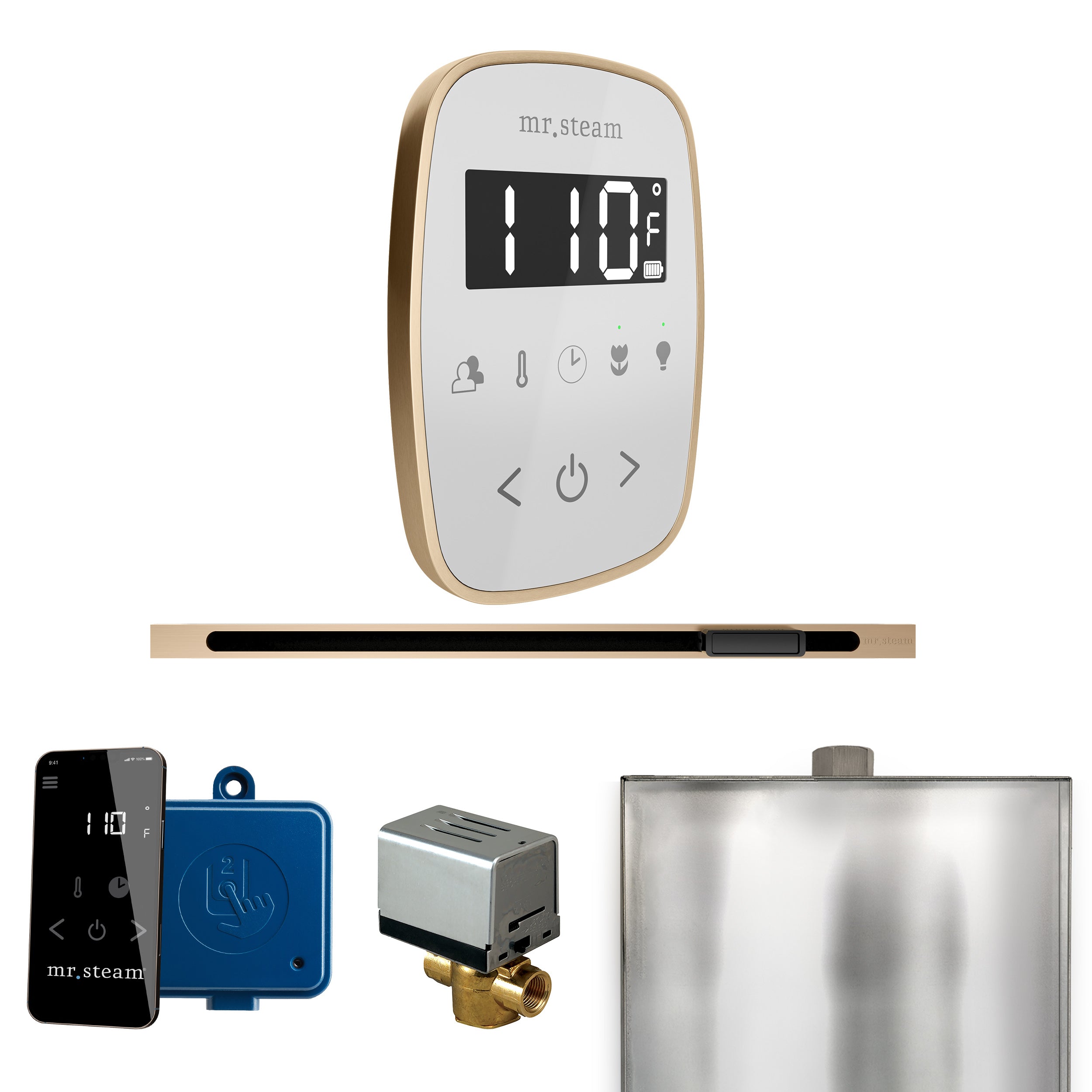 Mr. Steam Butler Flex Steam Shower Control Package with TempoFlex Control and Steamhead