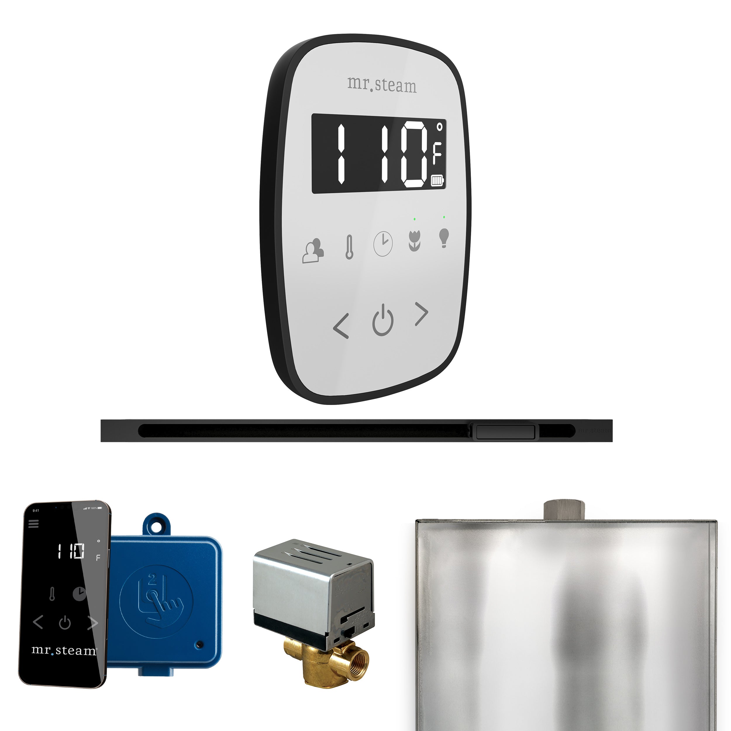 Mr. Steam Butler Flex Steam Shower Control Package with TempoFlex Control and Steamhead