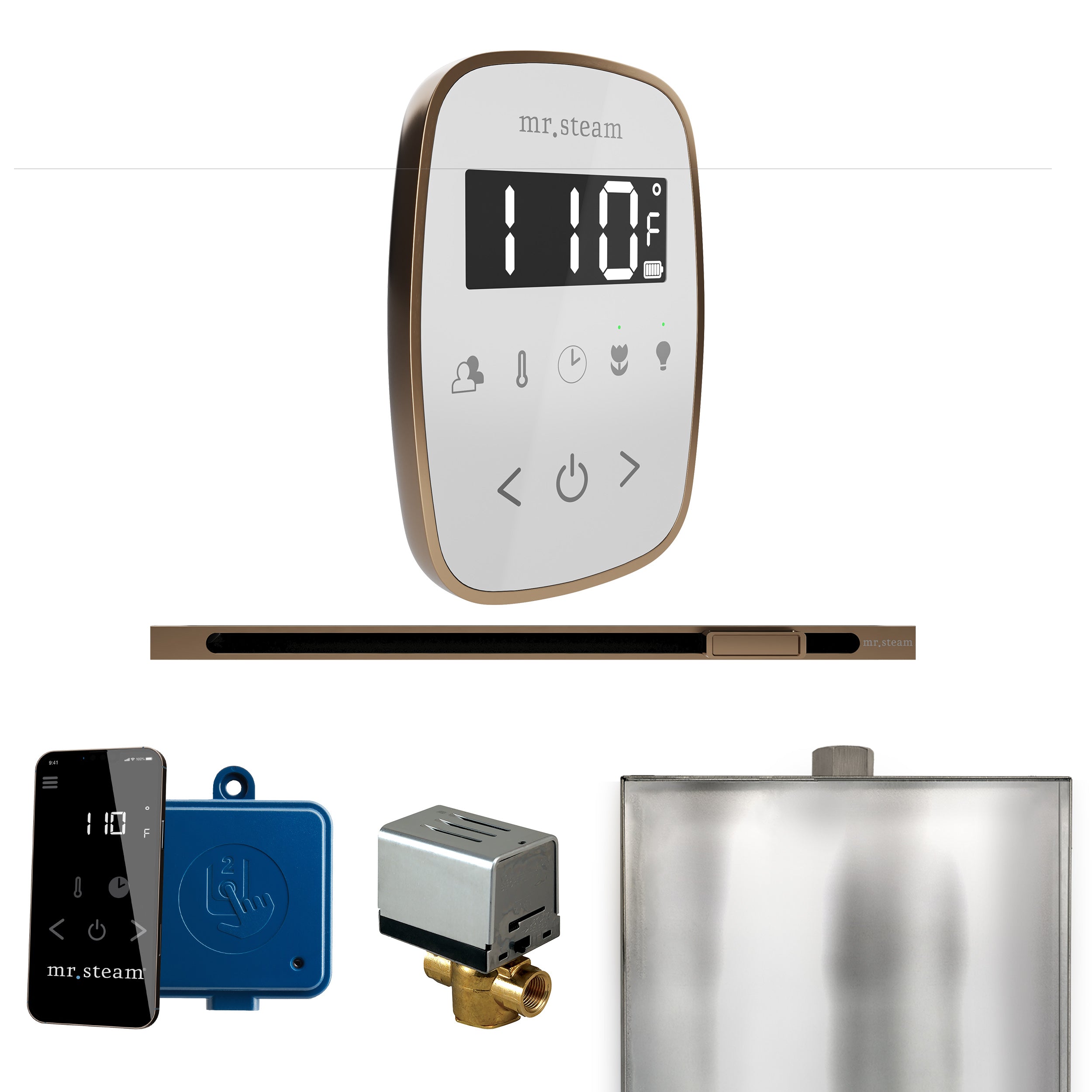 Mr. Steam Butler Flex Steam Shower Control Package with TempoFlex Control and Steamhead