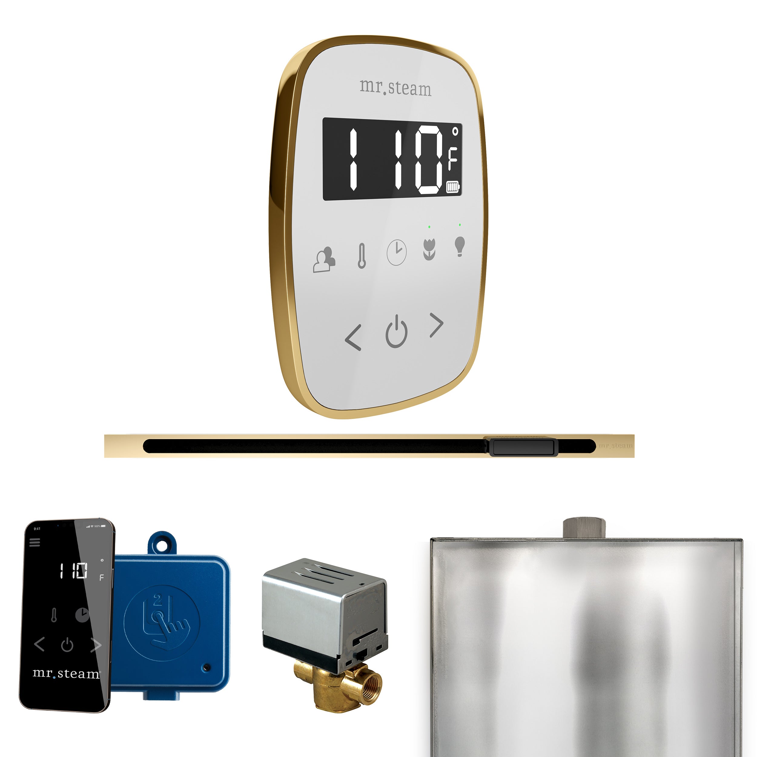 Mr. Steam Butler Flex Steam Shower Control Package with TempoFlex Control and Steamhead
