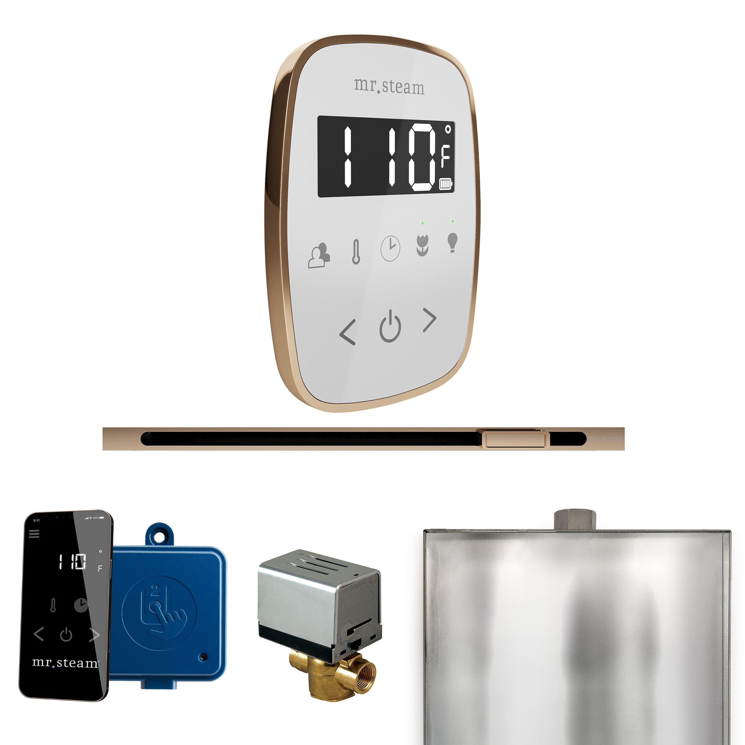 Mr. Steam Butler Flex Steam Shower Control Package with TempoFlex Control and Steamhead