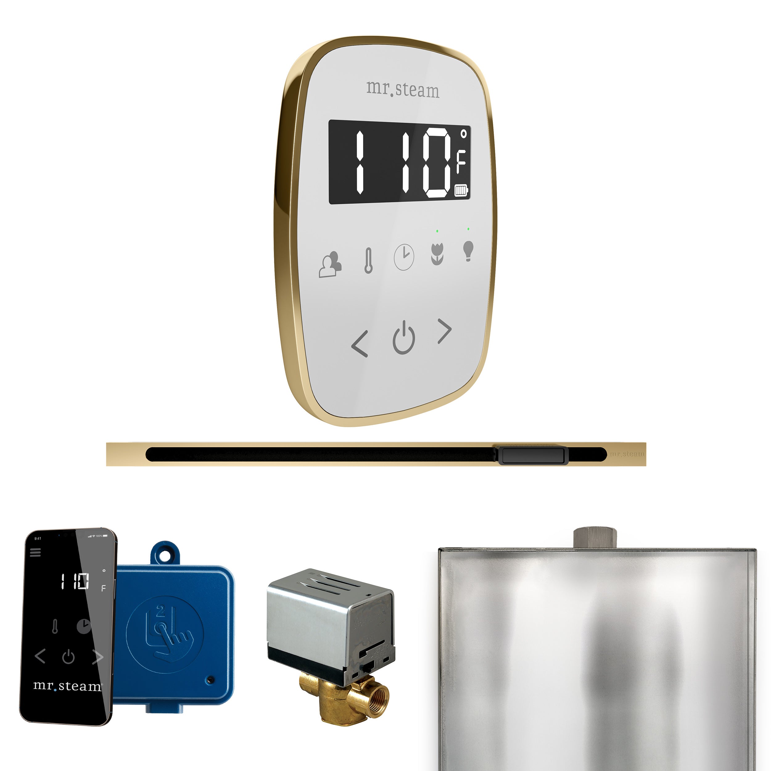 Mr. Steam Butler Flex Steam Shower Control Package with TempoFlex Control and Steamhead