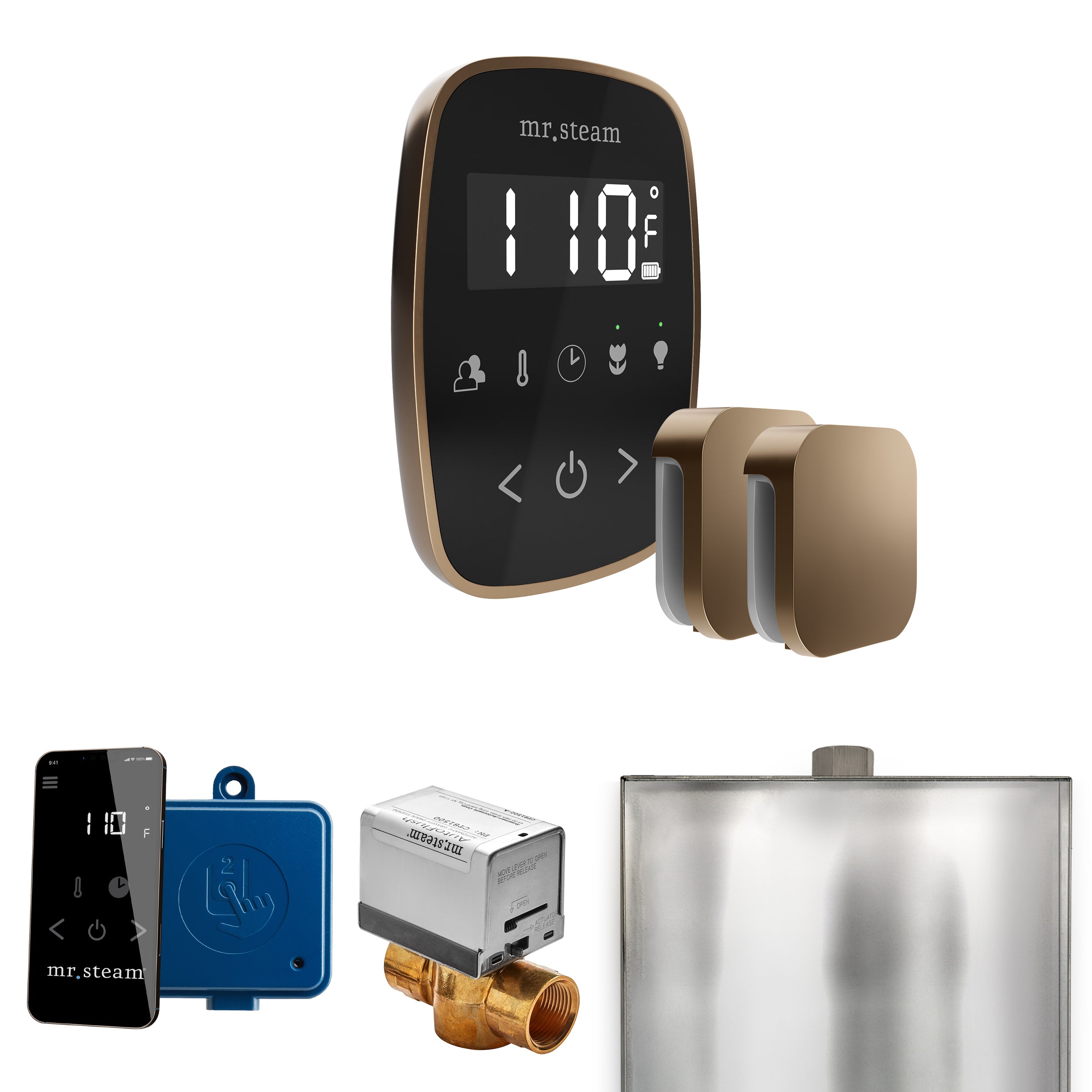 Mr. Steam Butler Flex Max Steam Shower Control Package with TempoFlex Control and Steamhead