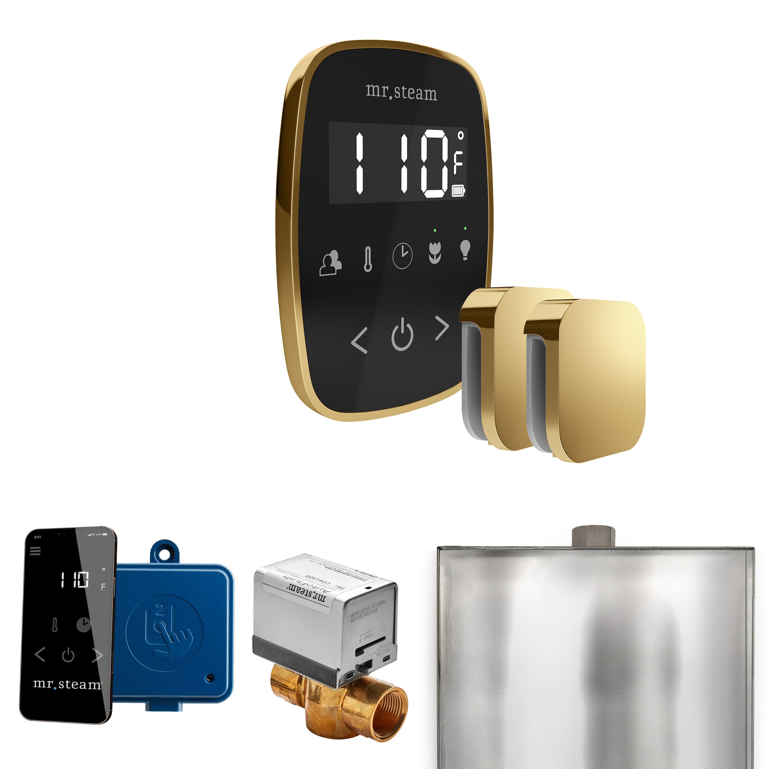 Mr. Steam Butler Flex Max Steam Shower Control Package with TempoFlex Control and Steamhead