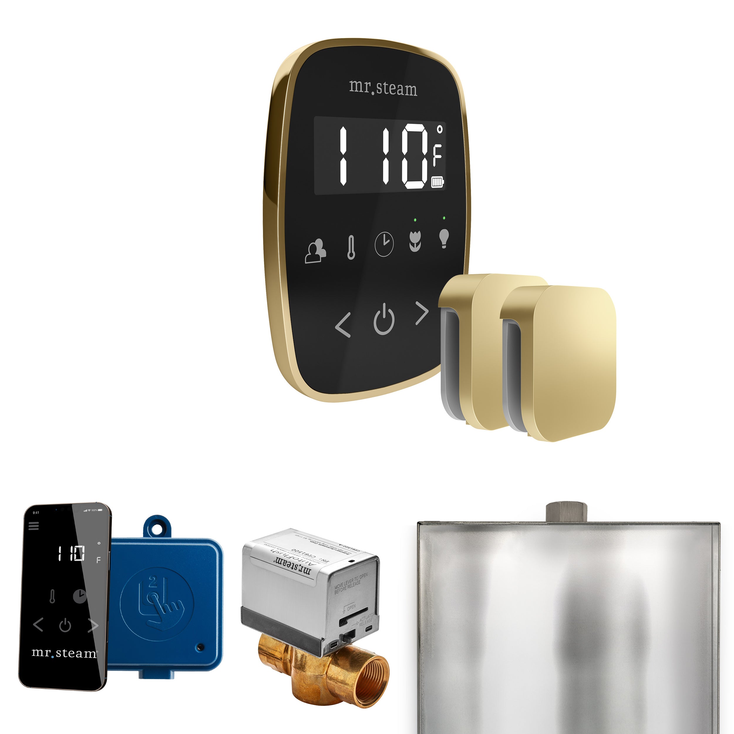 Mr. Steam Butler Flex Max Steam Shower Control Package with TempoFlex Control and Steamhead