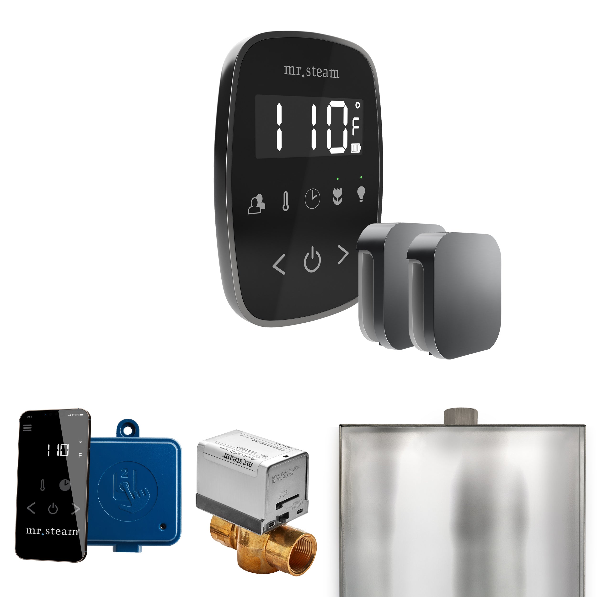 Mr. Steam Butler Flex Max Steam Shower Control Package with TempoFlex Control and Steamhead