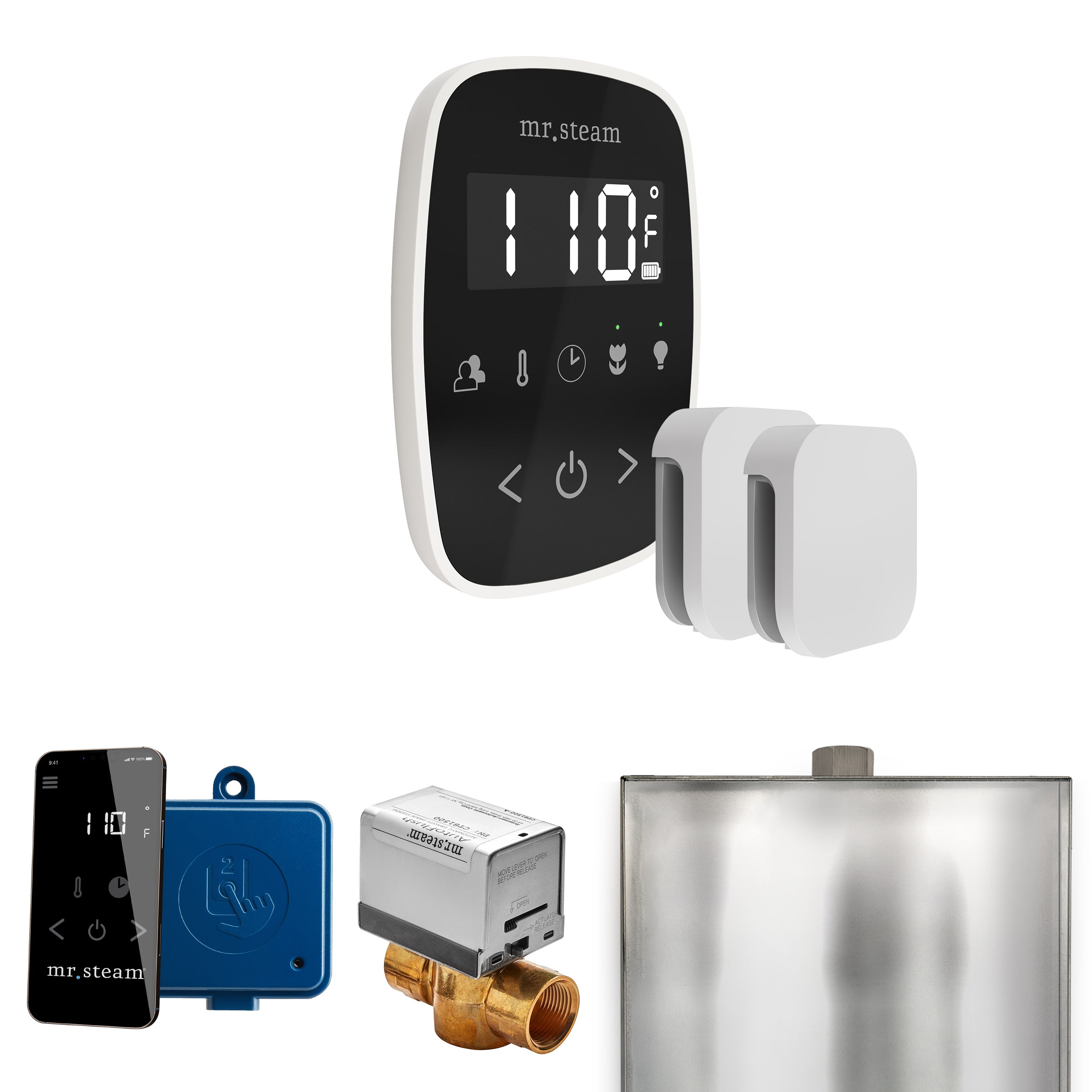 Mr. Steam Butler Flex Max Steam Shower Control Package with TempoFlex Control and Steamhead