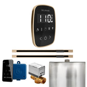 Mr. Steam Butler Flex Max Steam Shower Control Package with TempoFlex Control and Linear Steamhead