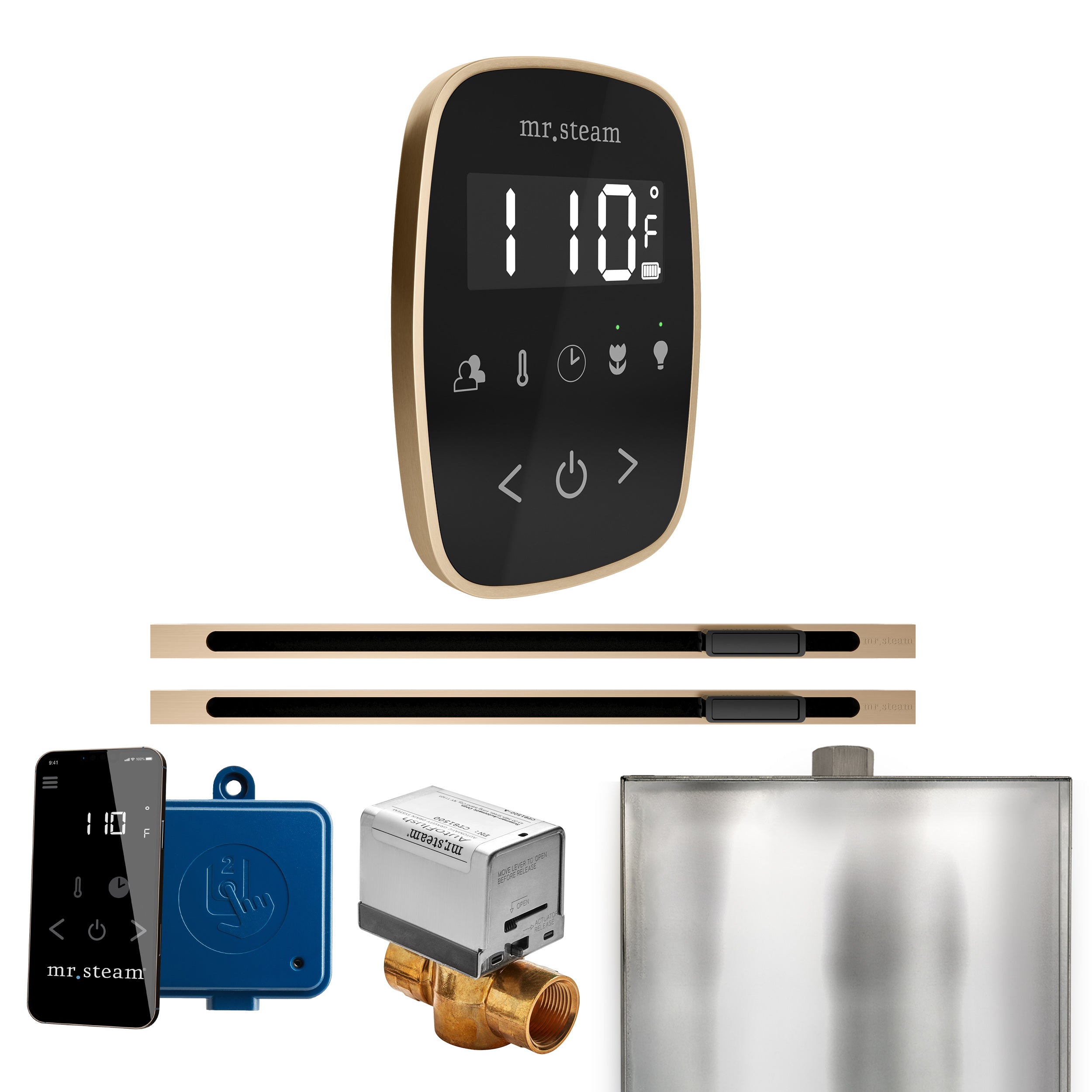 Mr. Steam Butler Flex Max Steam Shower Control Package with TempoFlex Control and Linear Steamhead