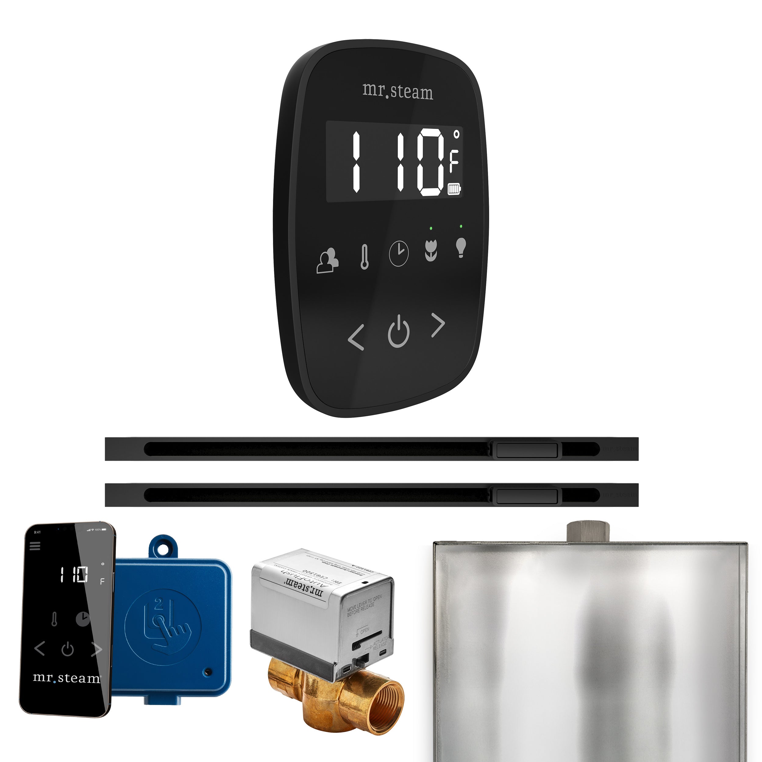 Mr. Steam Butler Flex Max Steam Shower Control Package with TempoFlex Control and Linear Steamhead