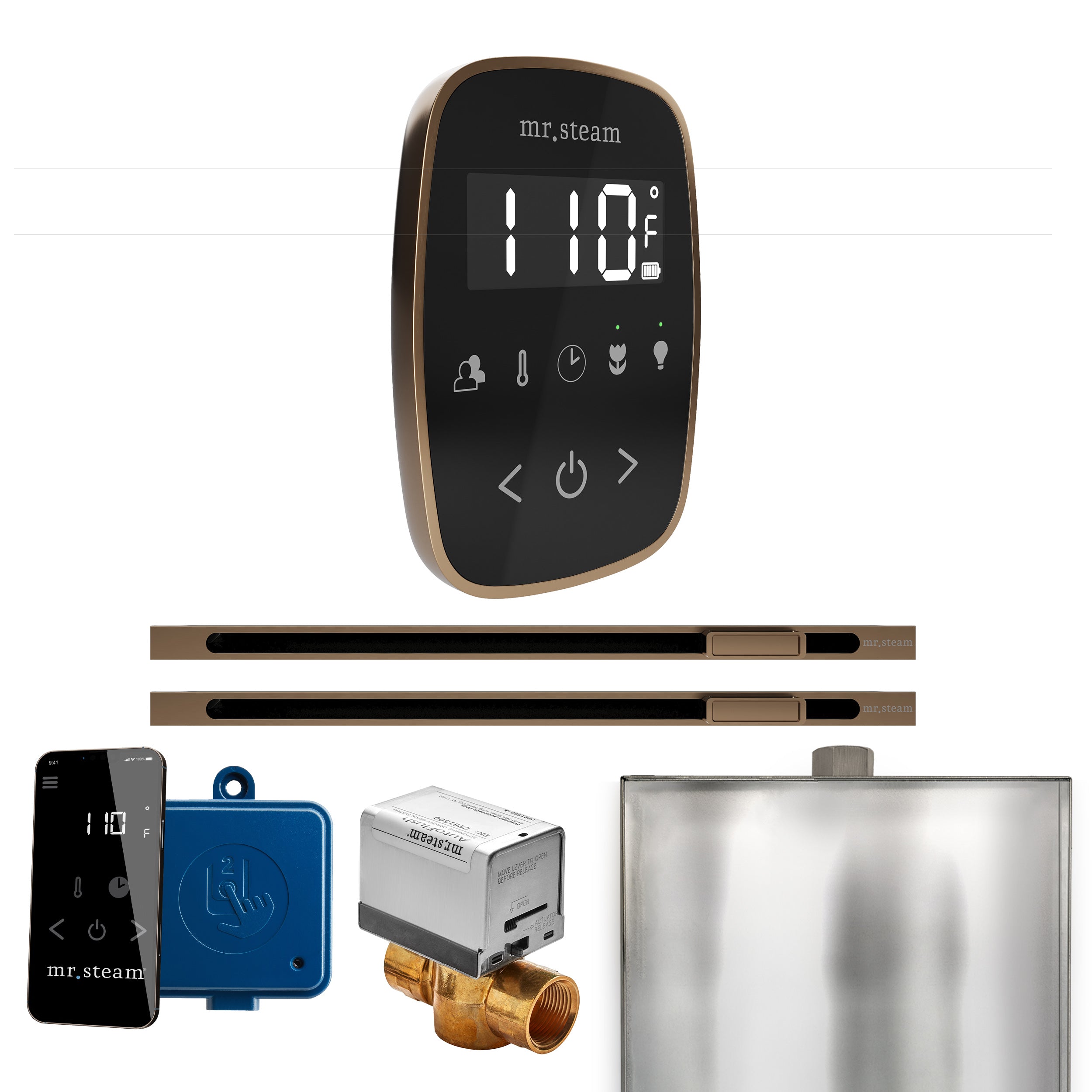 Mr. Steam Butler Flex Max Steam Shower Control Package with TempoFlex Control and Linear Steamhead