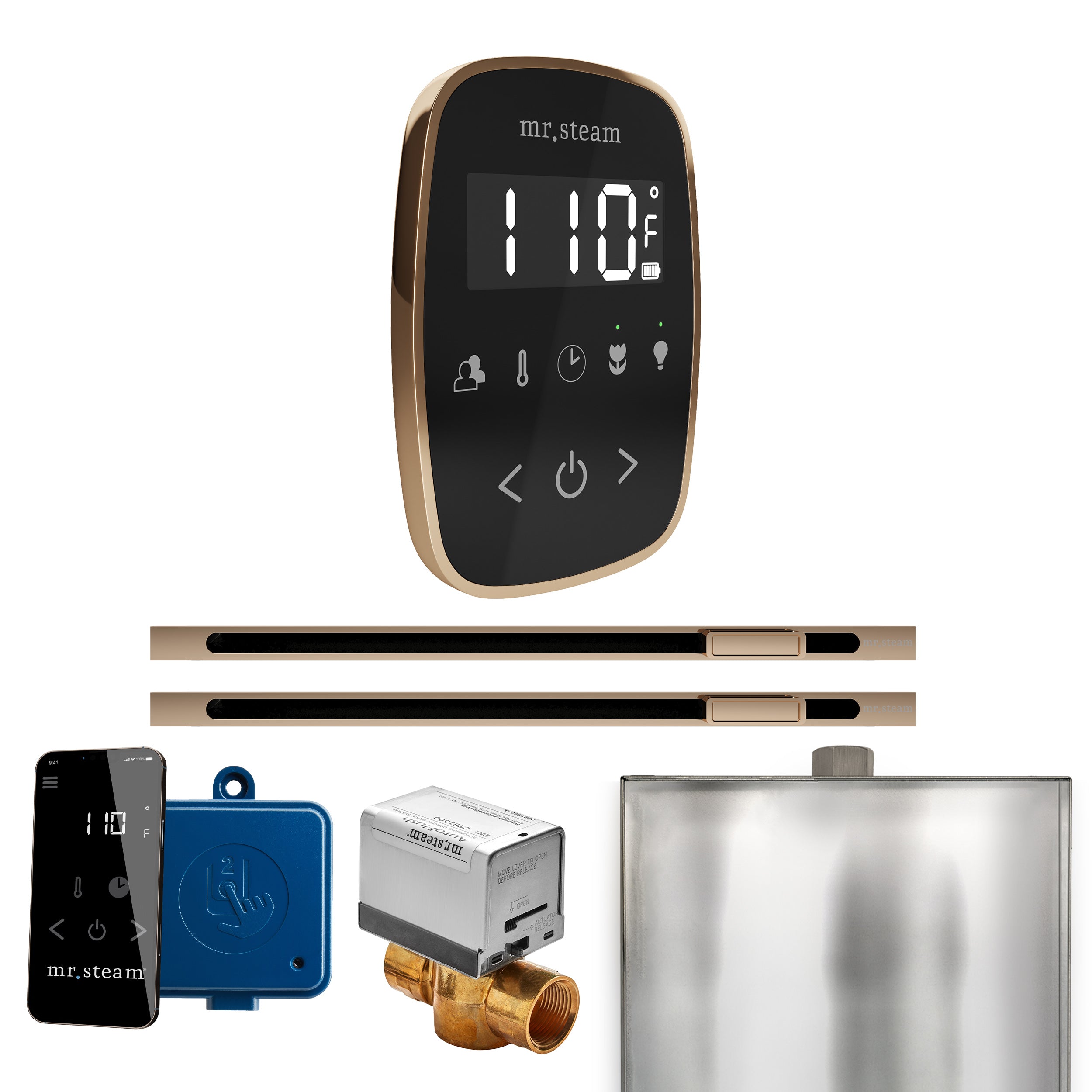 Mr. Steam Butler Flex Max Steam Shower Control Package with TempoFlex Control and Linear Steamhead