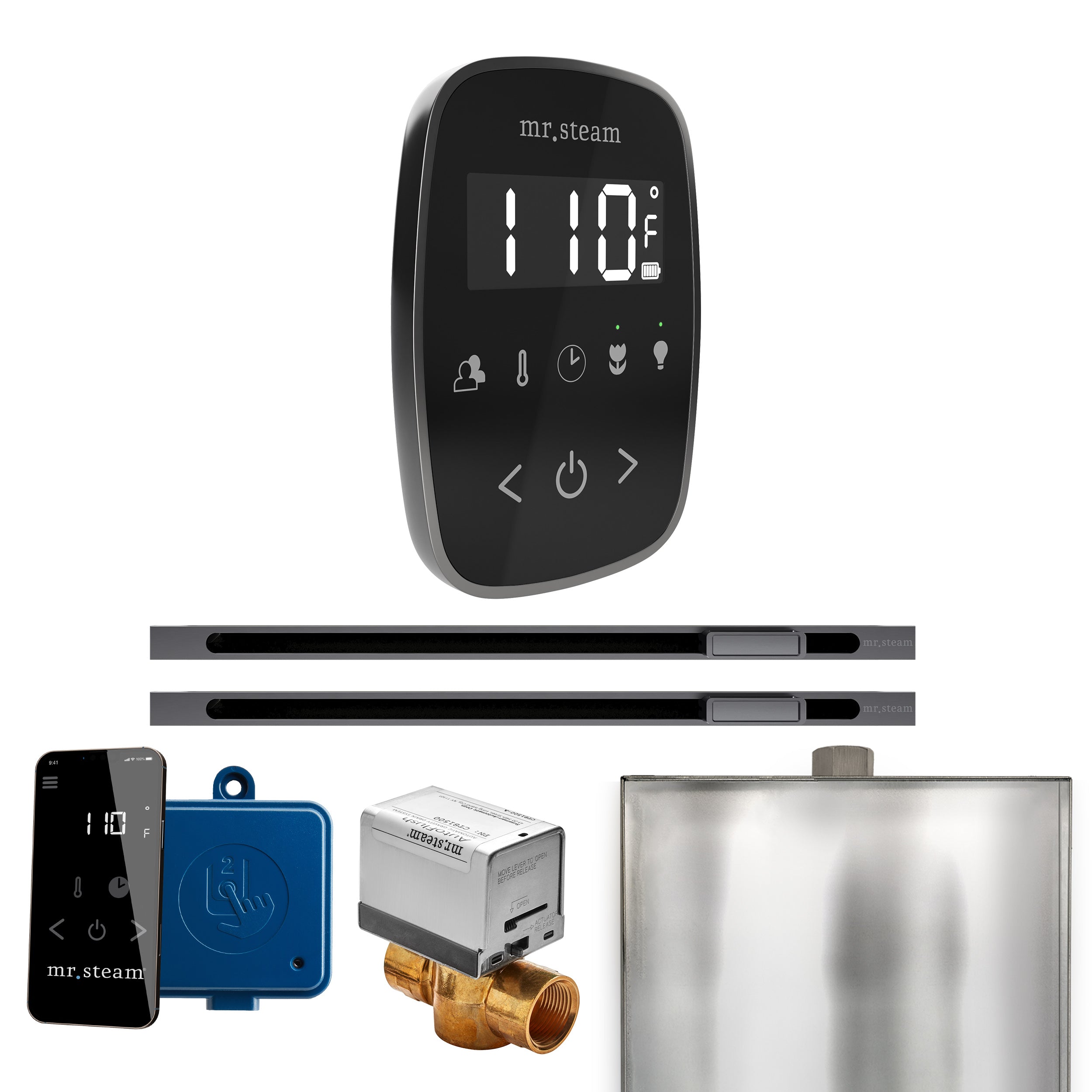 Mr. Steam Butler Flex Max Steam Shower Control Package with TempoFlex Control and Linear Steamhead