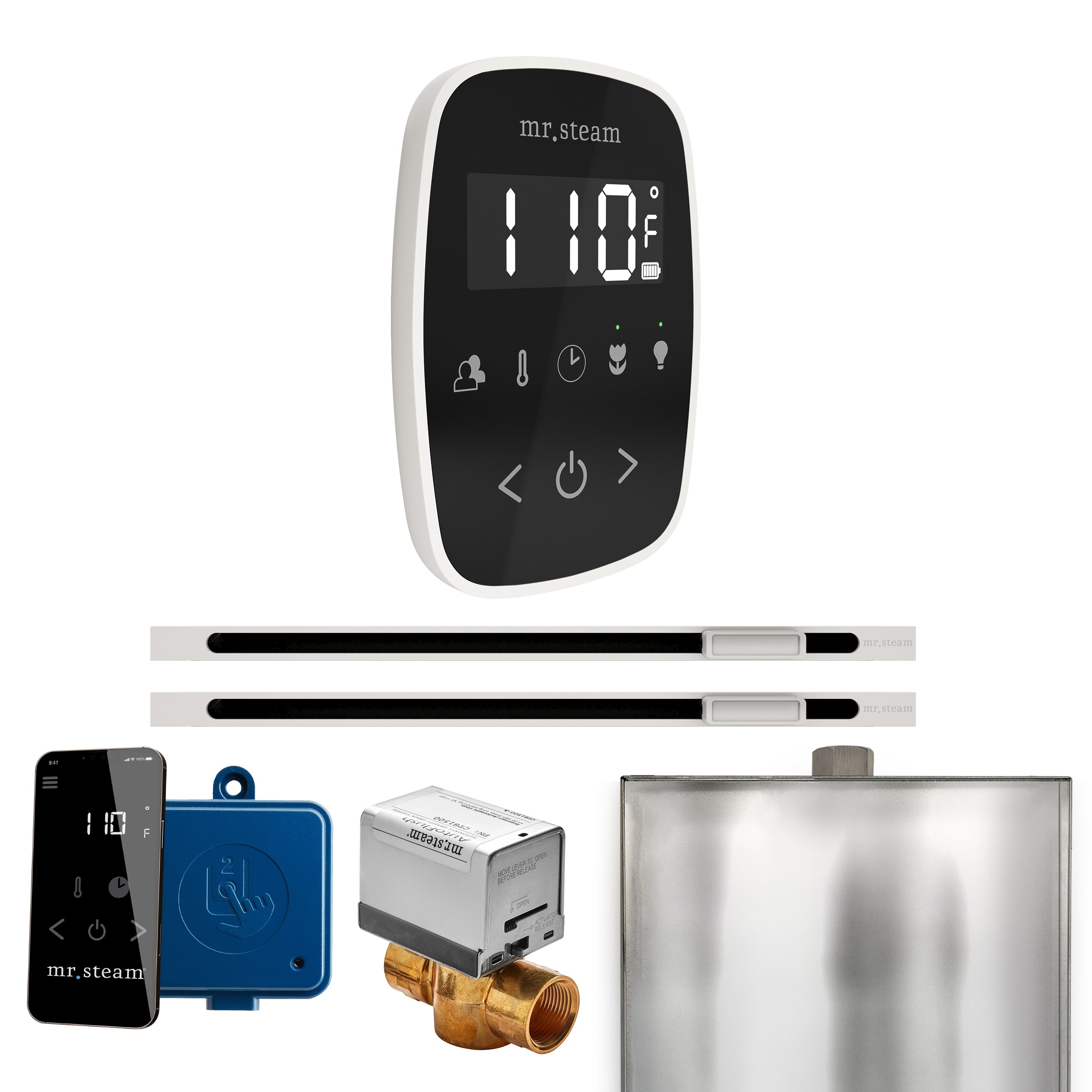 Mr. Steam Butler Flex Max Steam Shower Control Package with TempoFlex Control and Linear Steamhead