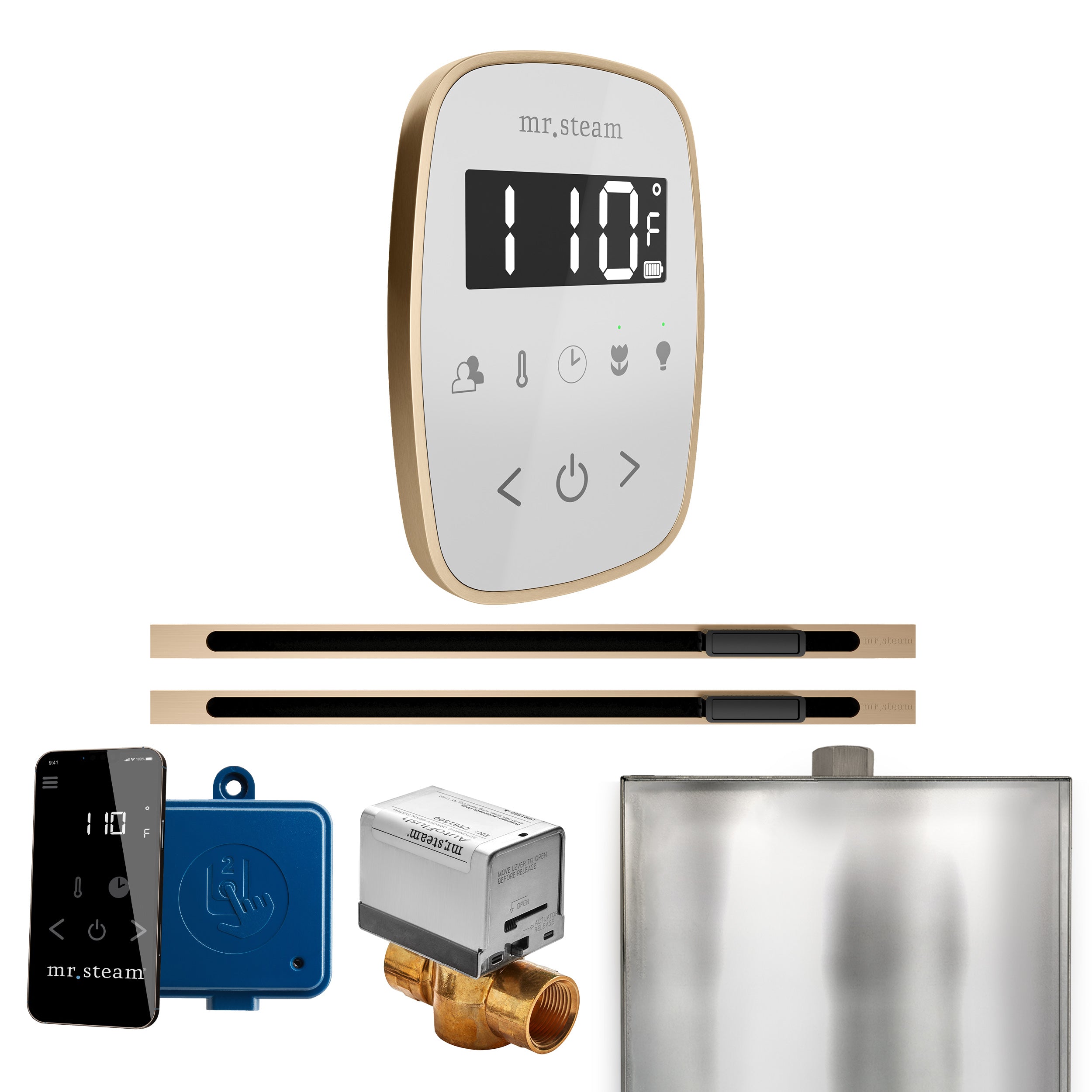 Mr. Steam Butler Flex Max Steam Shower Control Package with TempoFlex Control and Linear Steamhead