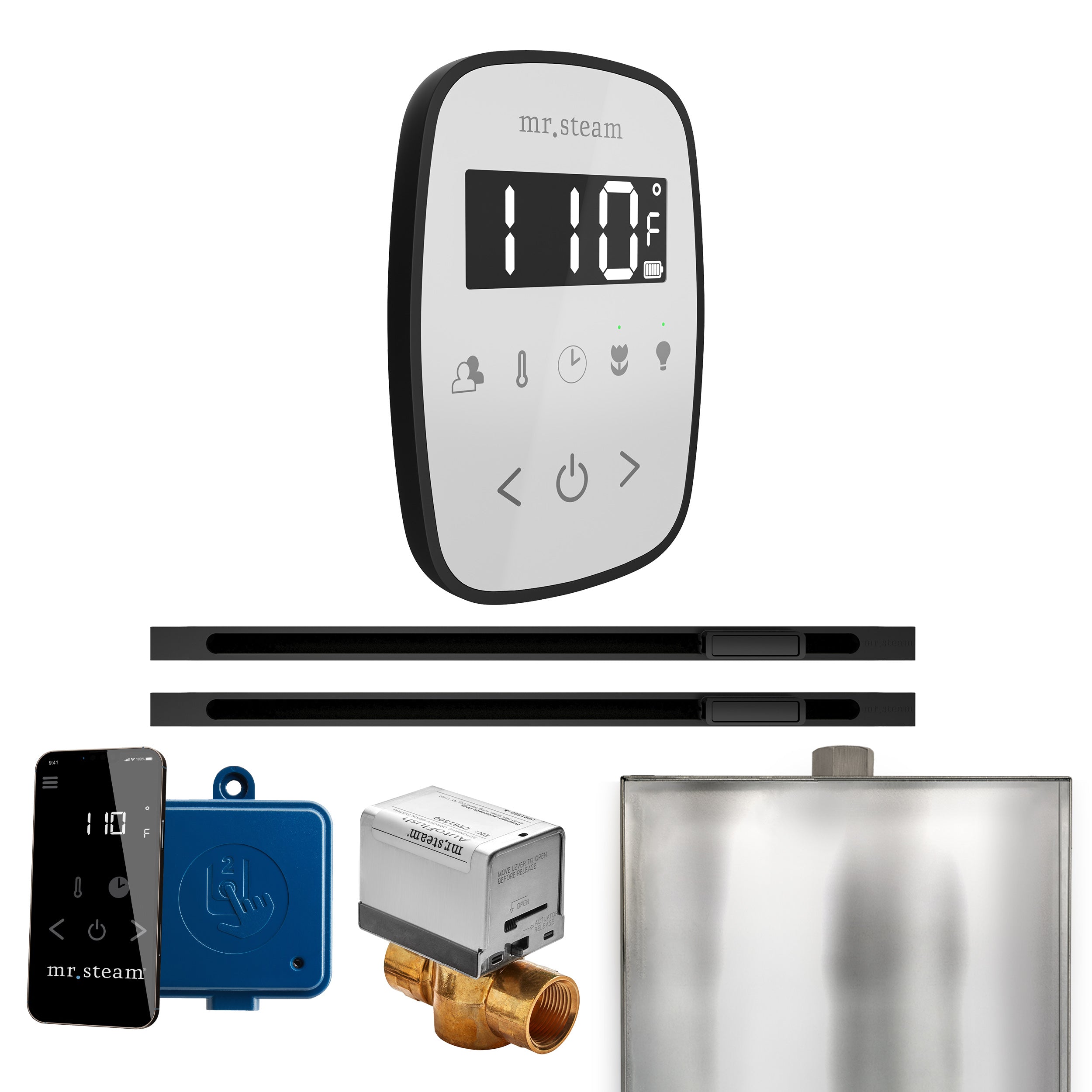 Mr. Steam Butler Flex Max Steam Shower Control Package with TempoFlex Control and Linear Steamhead