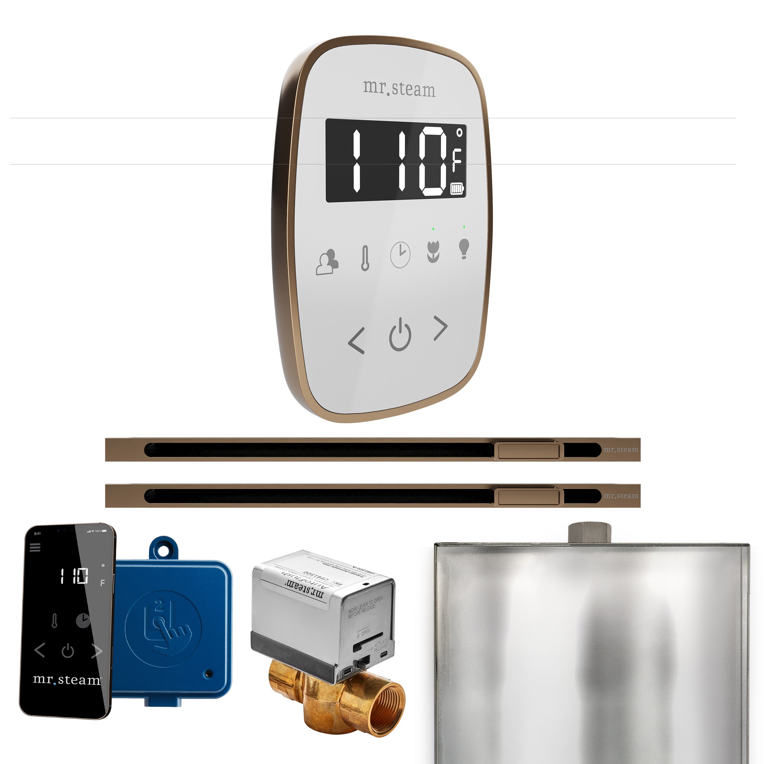 Mr. Steam Butler Flex Max Steam Shower Control Package with TempoFlex Control and Linear Steamhead