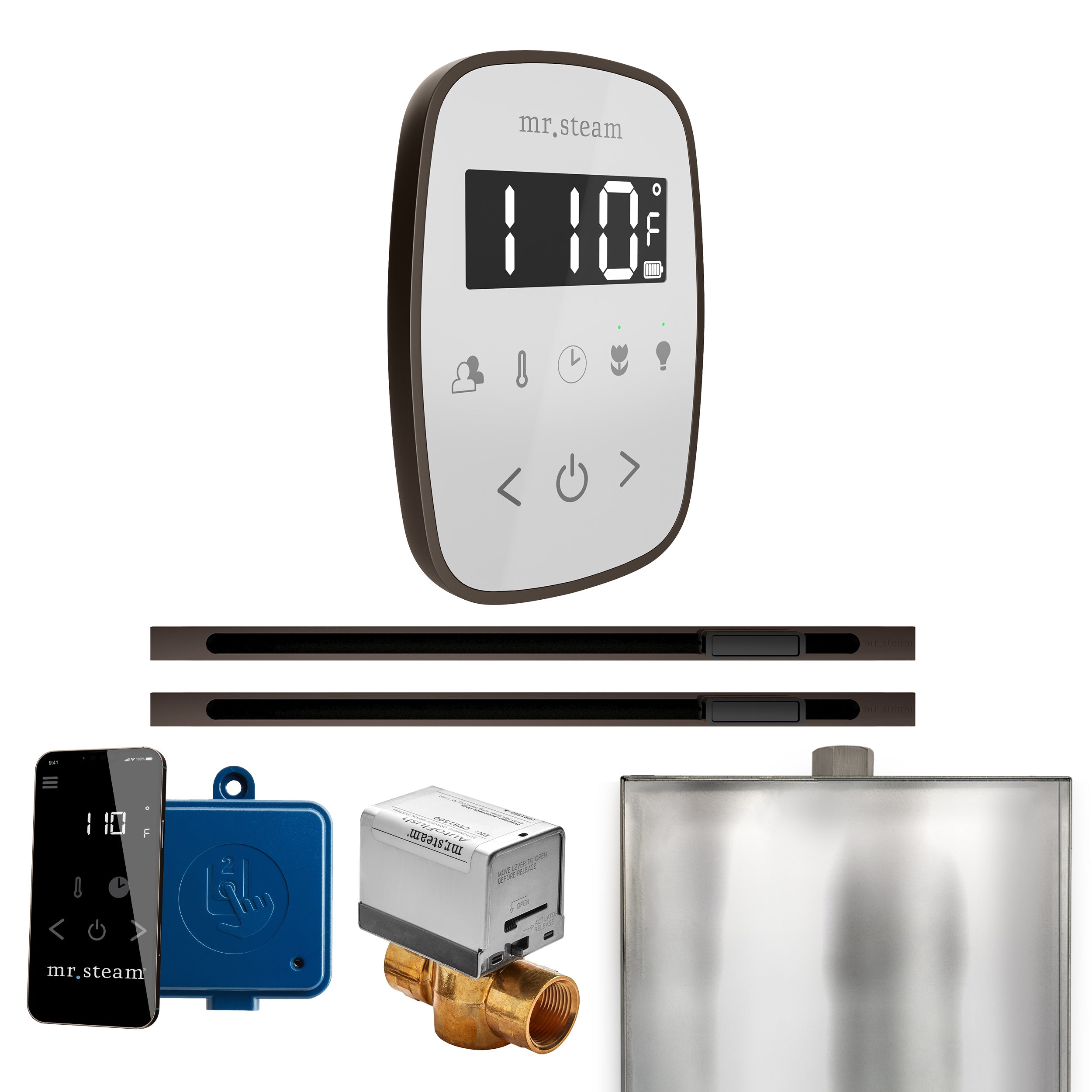 Mr. Steam Butler Flex Max Steam Shower Control Package with TempoFlex Control and Linear Steamhead