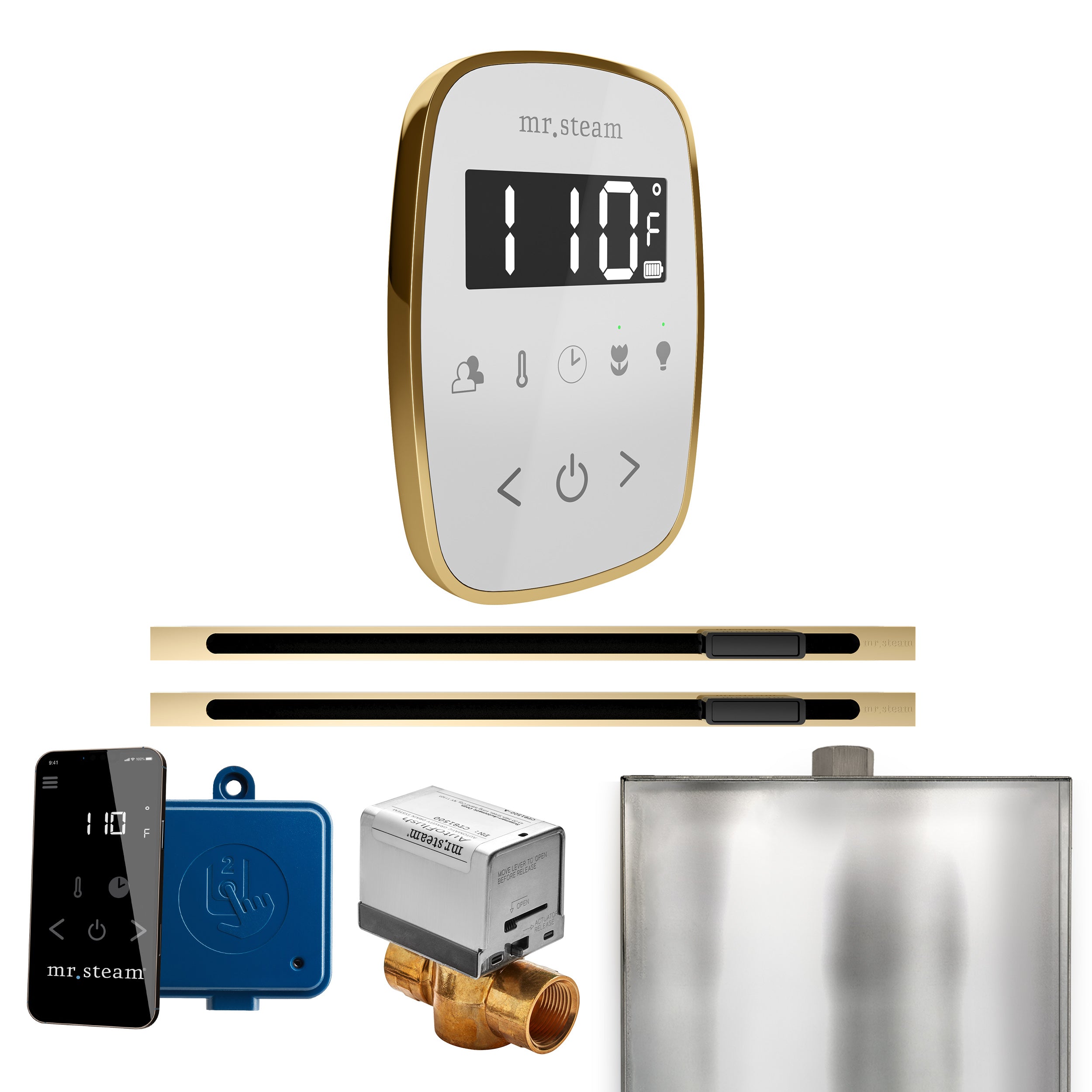 Mr. Steam Butler Flex Max Steam Shower Control Package with TempoFlex Control and Linear Steamhead