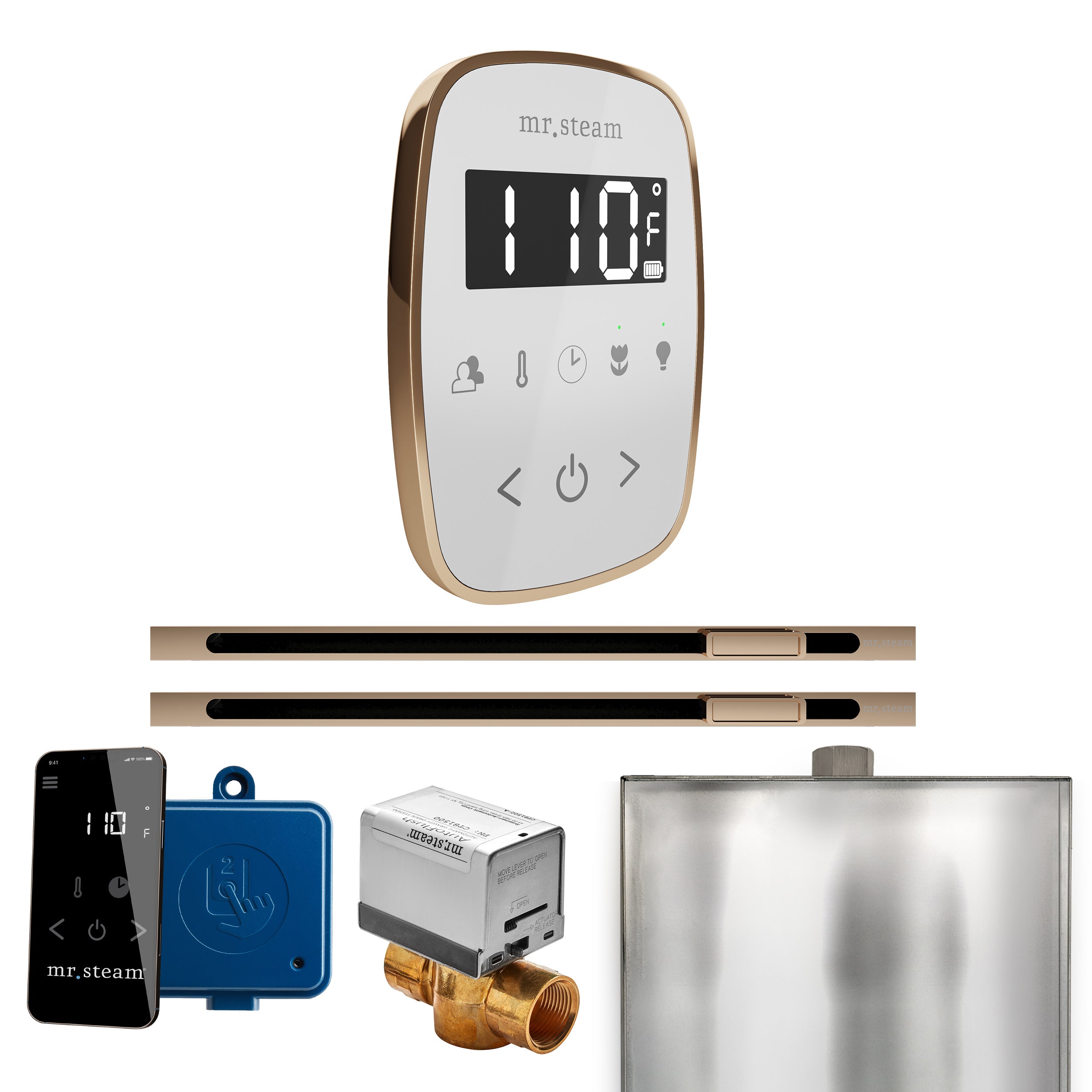 Mr. Steam Butler Flex Max Steam Shower Control Package with TempoFlex Control and Linear Steamhead
