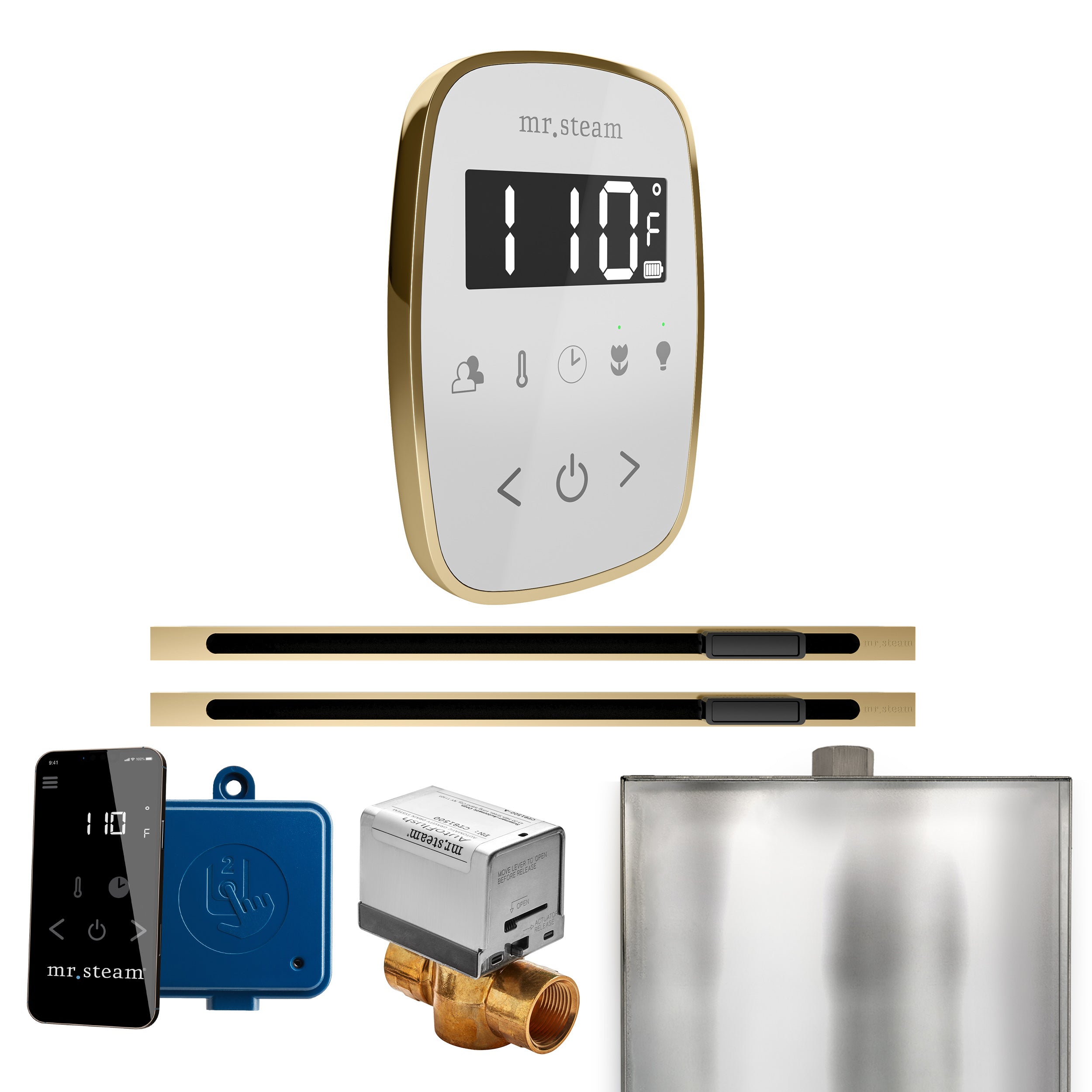 Mr. Steam Butler Flex Max Steam Shower Control Package with TempoFlex Control and Linear Steamhead