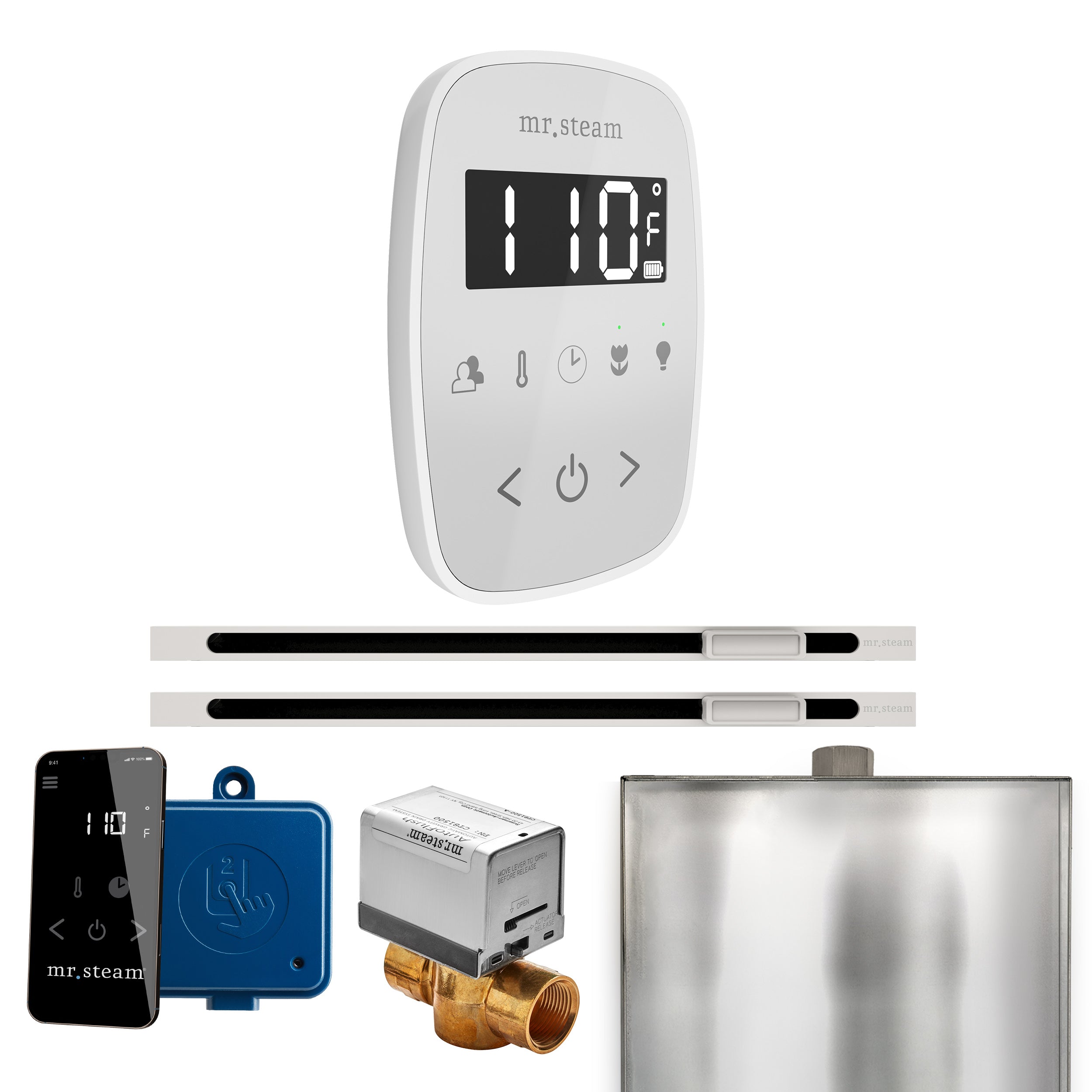 Mr. Steam Butler Flex Max Steam Shower Control Package with TempoFlex Control and Linear Steamhead